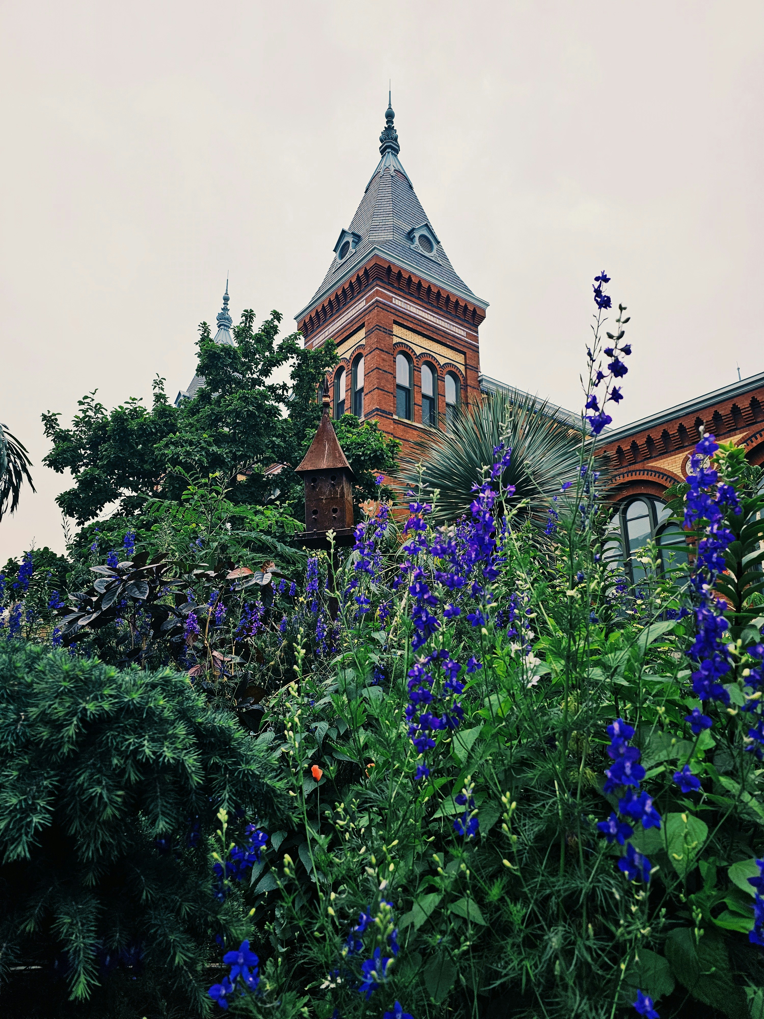 a building with a tower surrounded by blue flowers