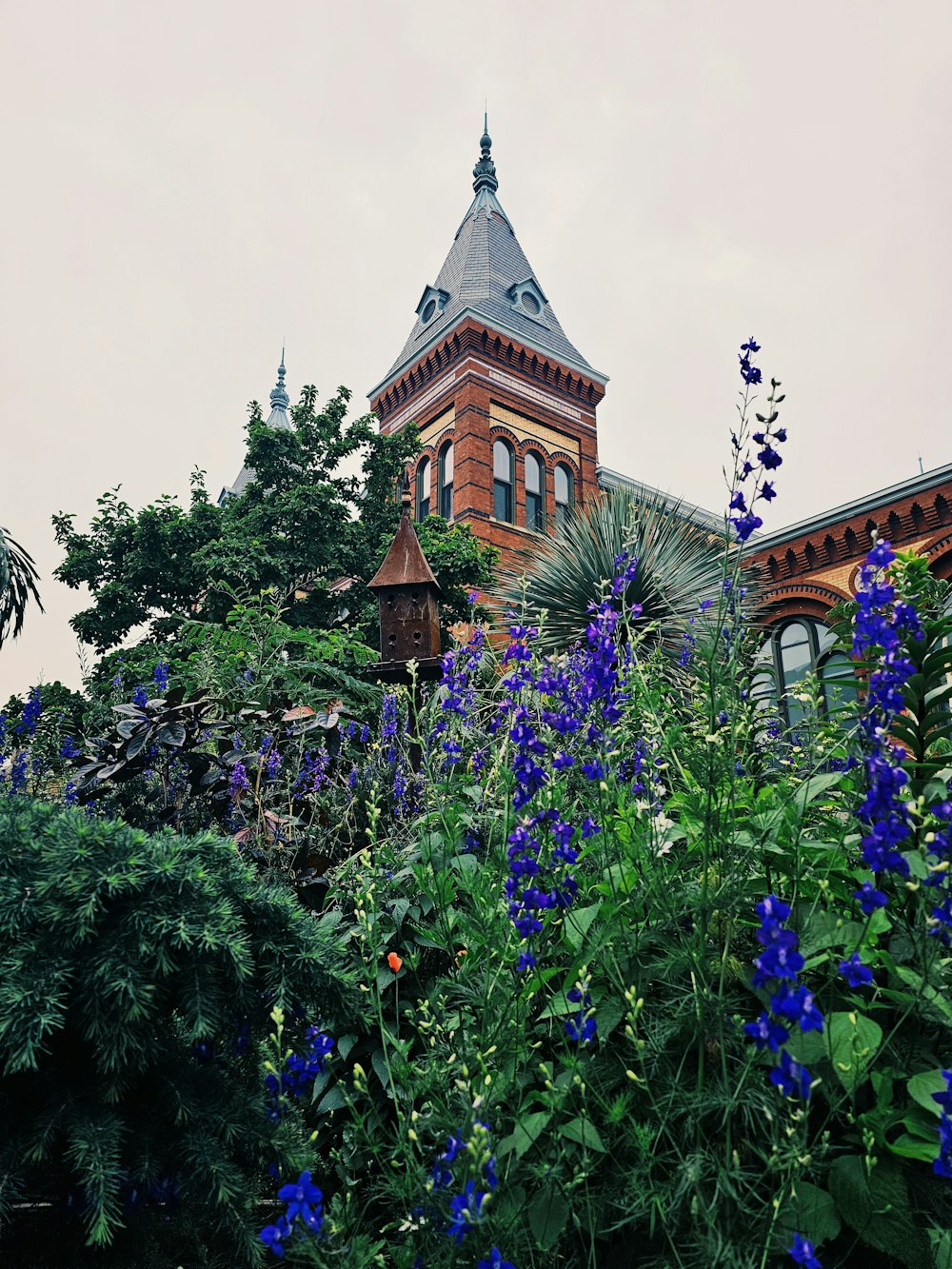 a building with a tower surrounded by blue flowers
