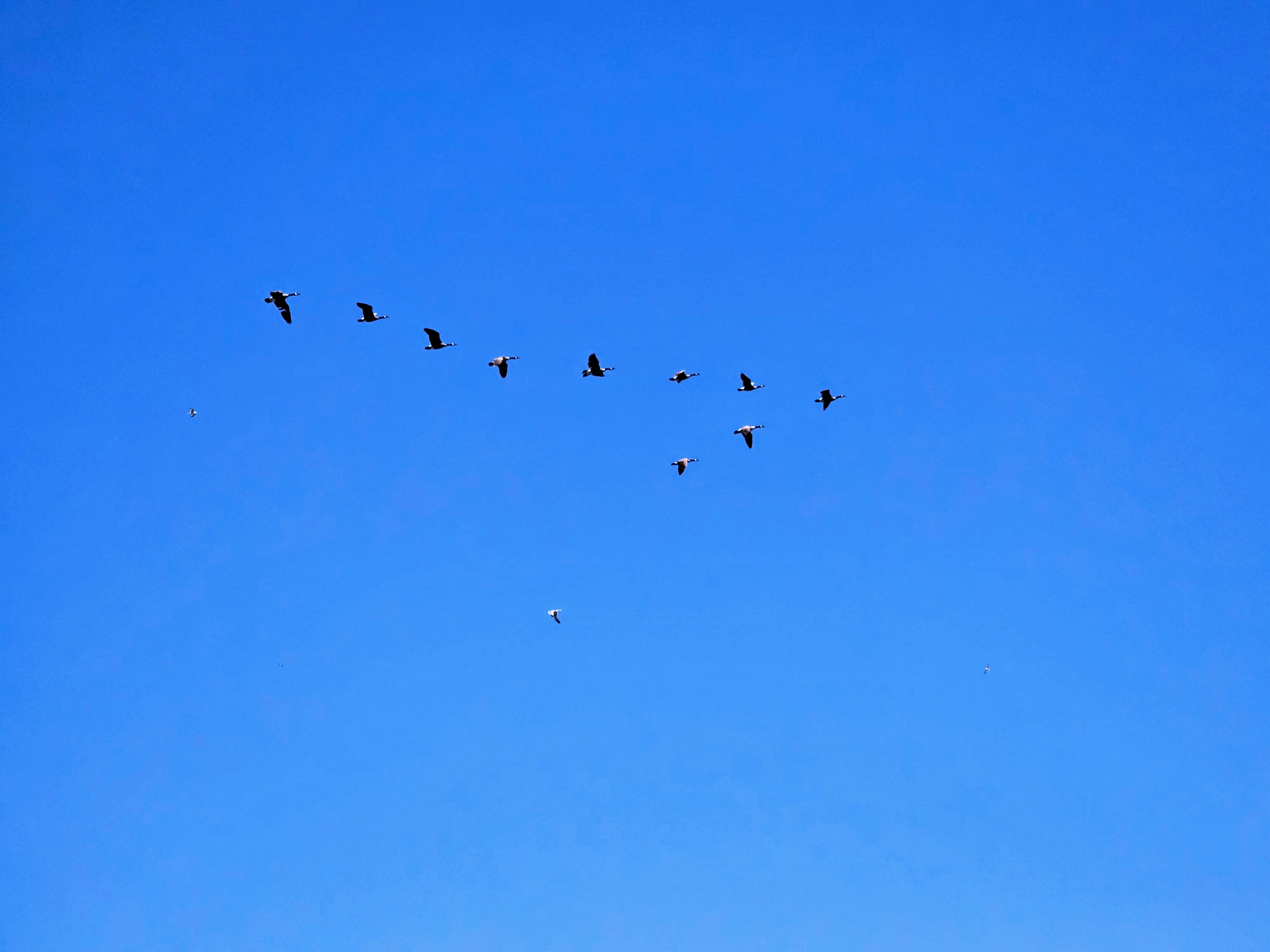 Photo by skyfly_rich