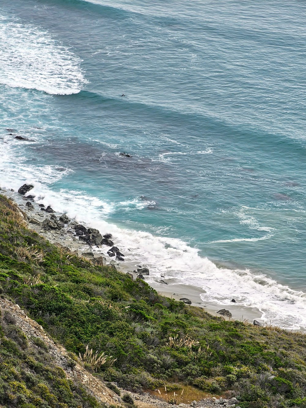 a bird is sitting on the edge of a cliff overlooking the ocean