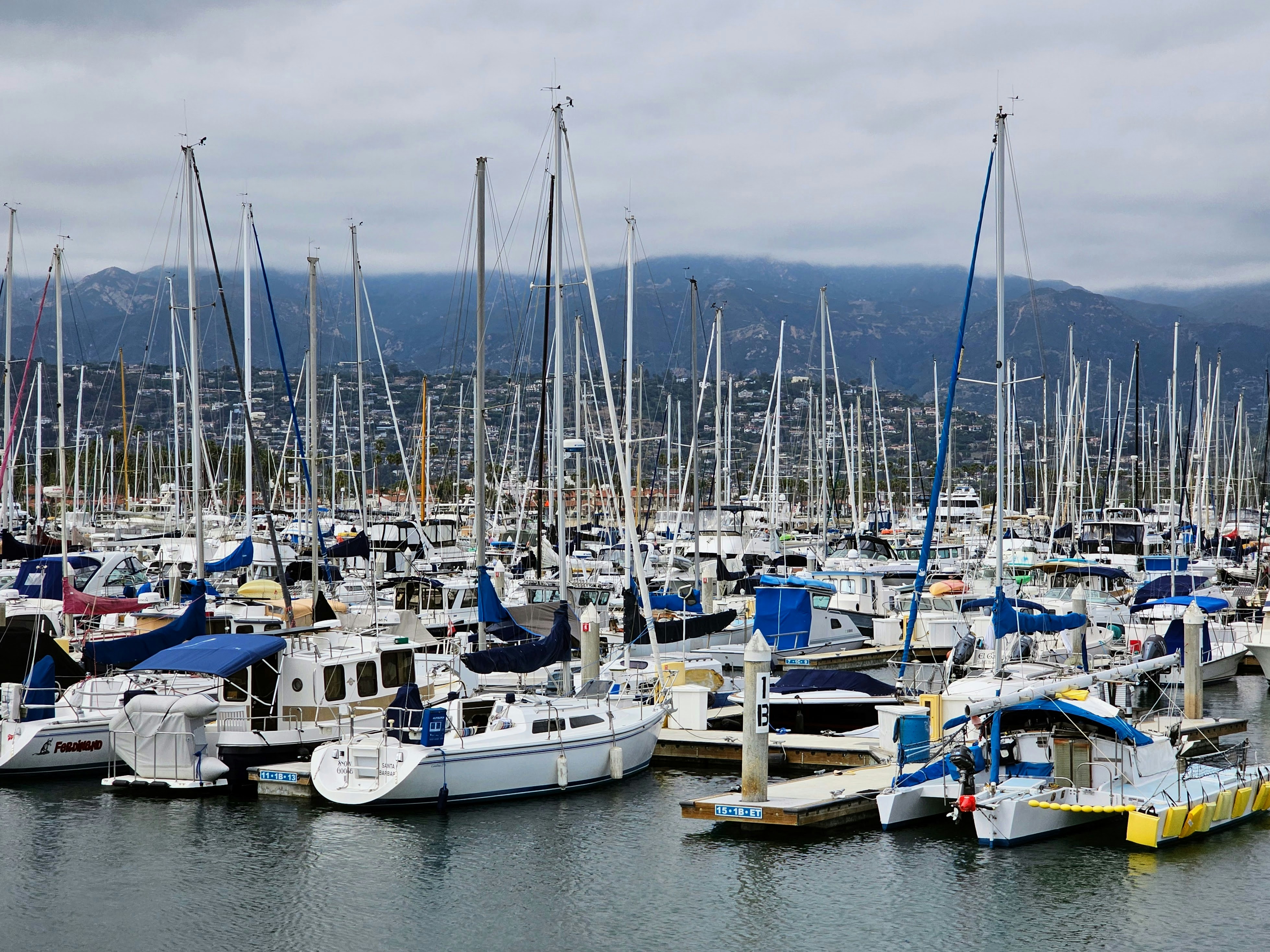 Photo by skyfly_rich