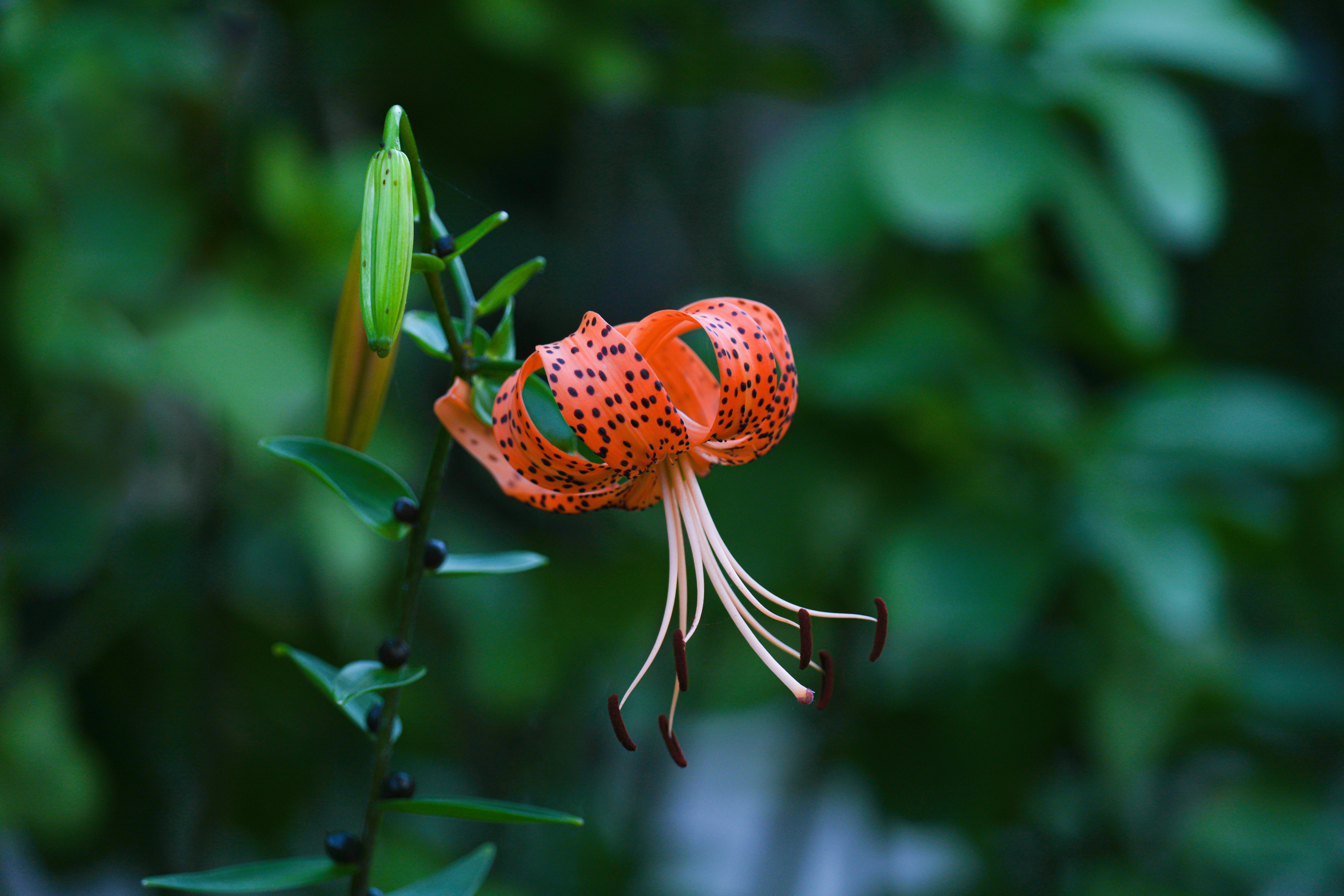 Photo by kim_dae_jeung