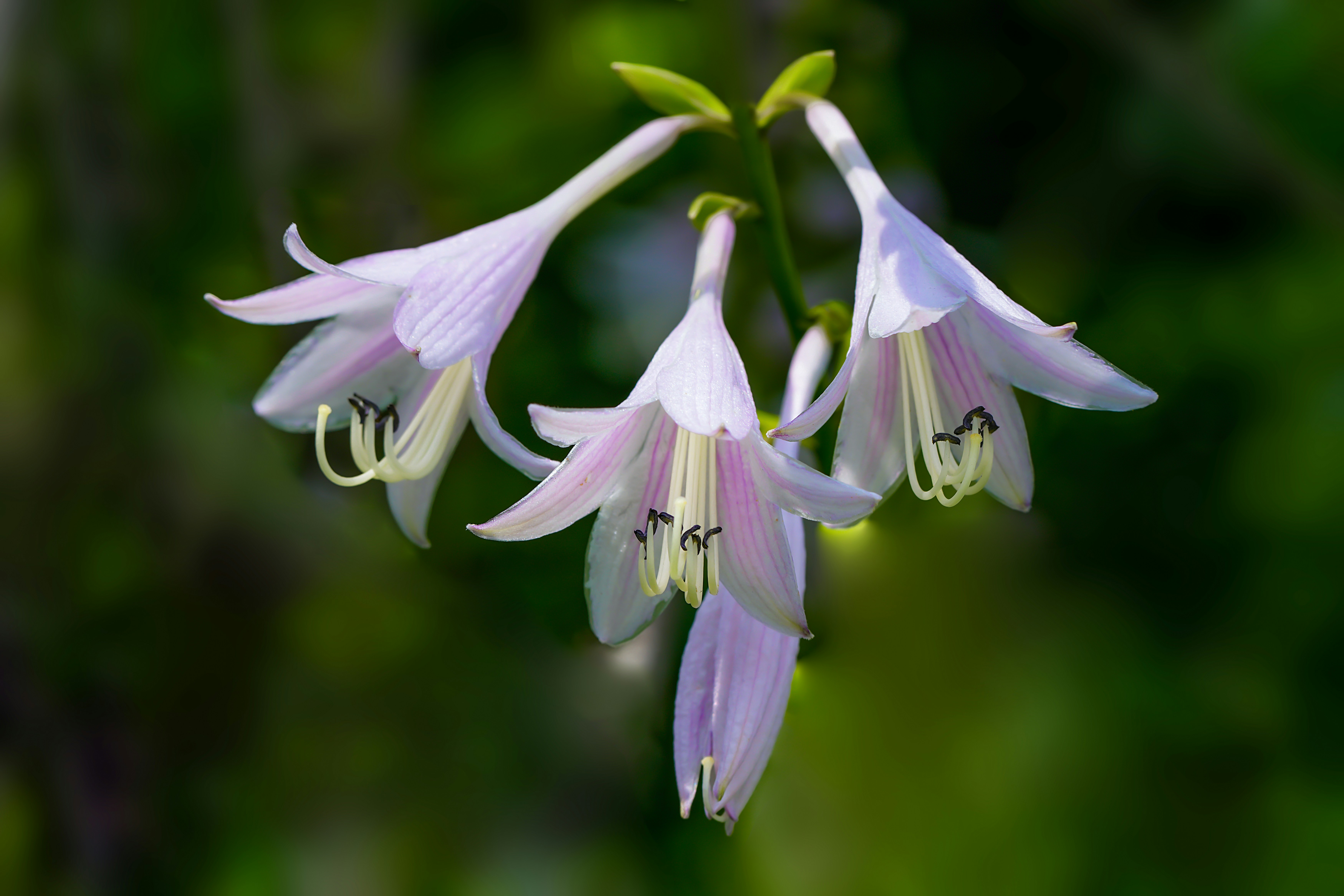 Photo by kim_dae_jeung