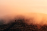 A cinematic frame showing a lone figure walking through a misty forest at dawn.