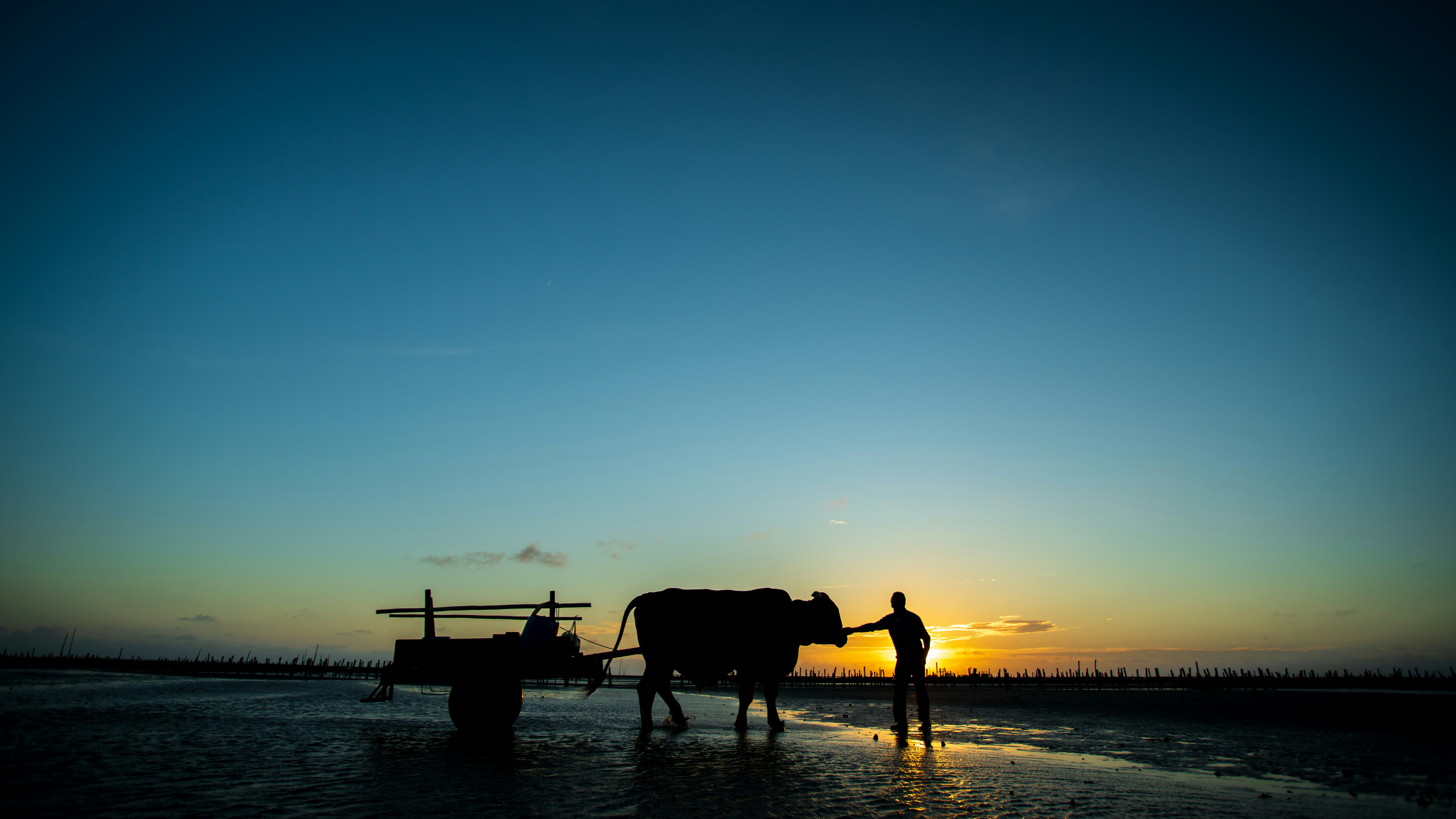 Photo by goodfunlover