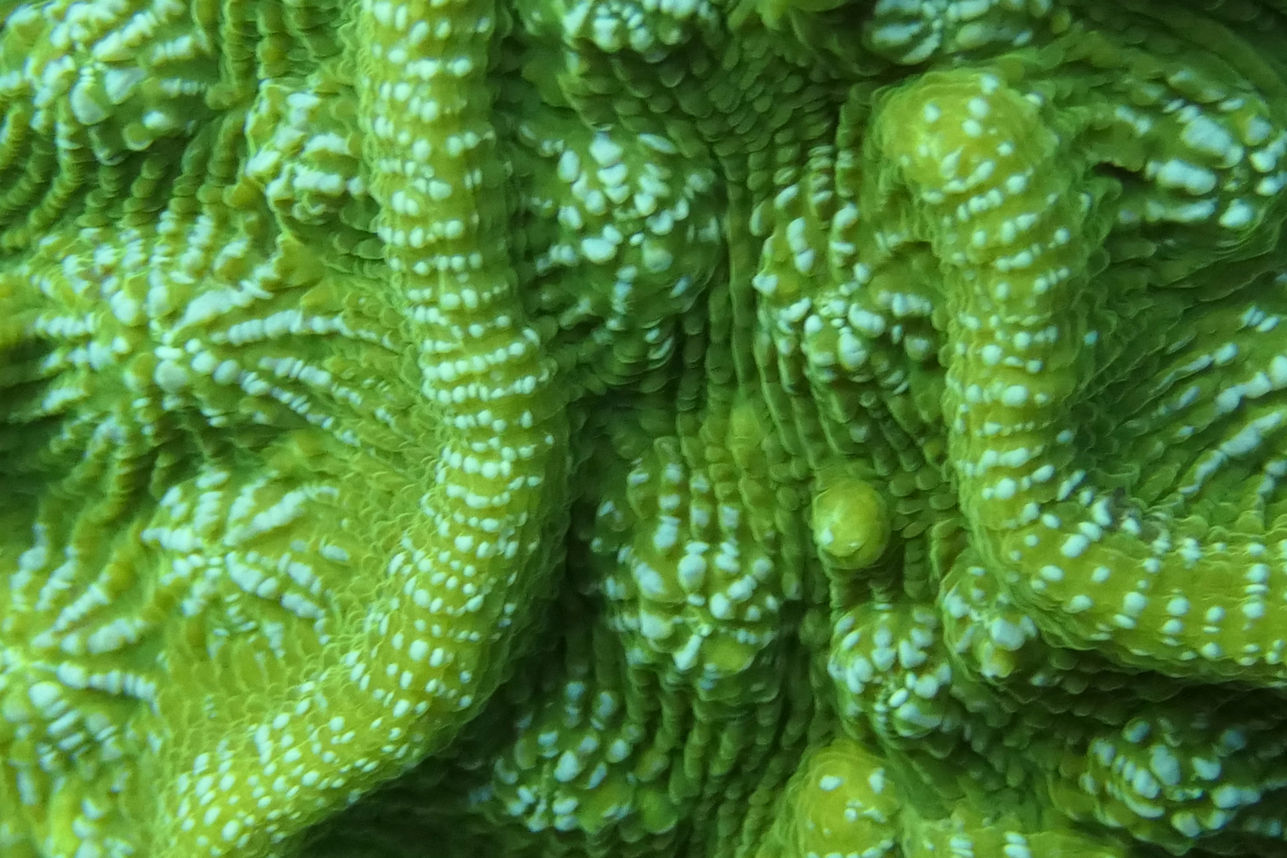 Photo by nothingtoseehere1492