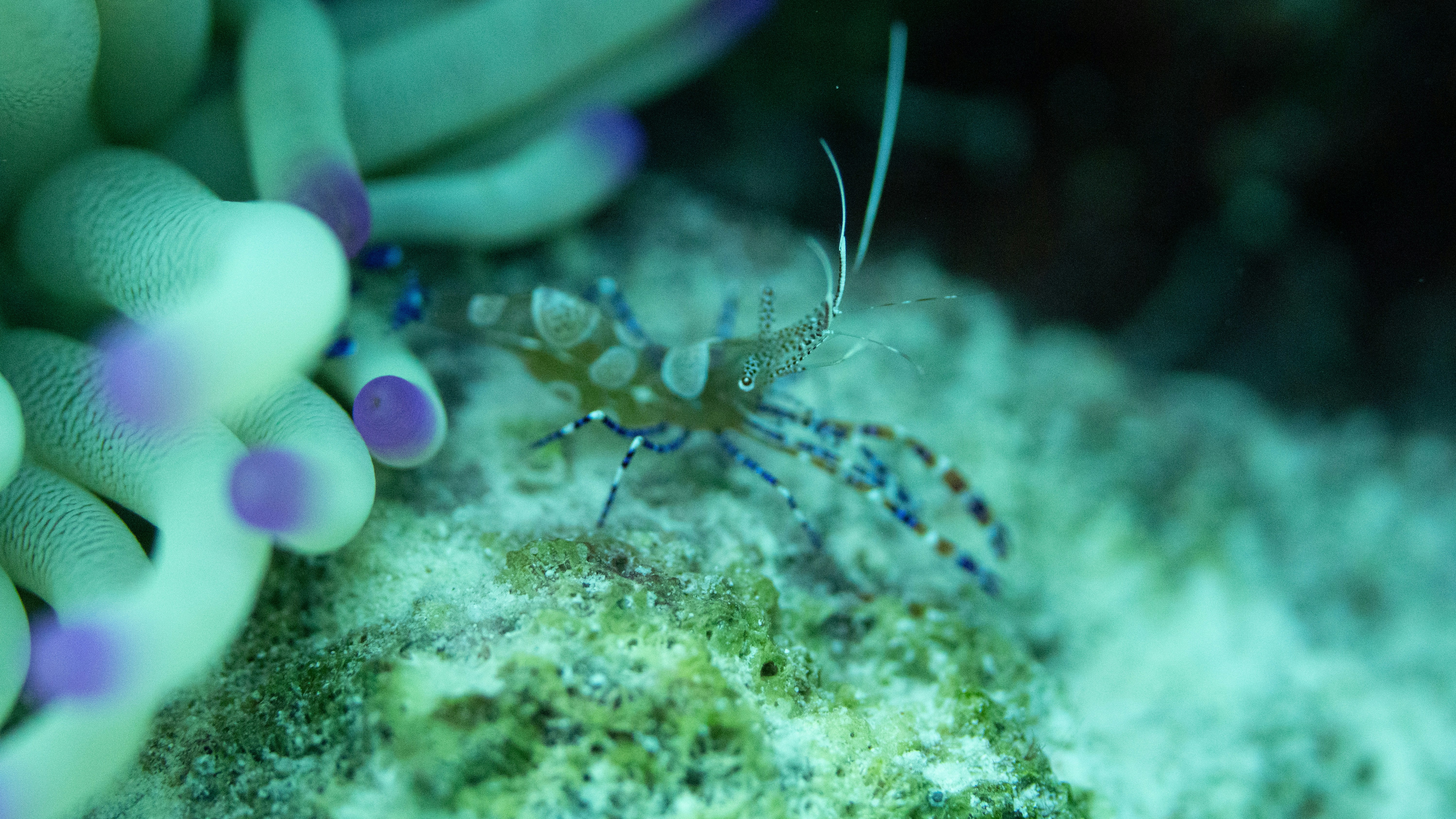 The Physics-Defying Punch That Creates Plasma (image credits: unsplash)