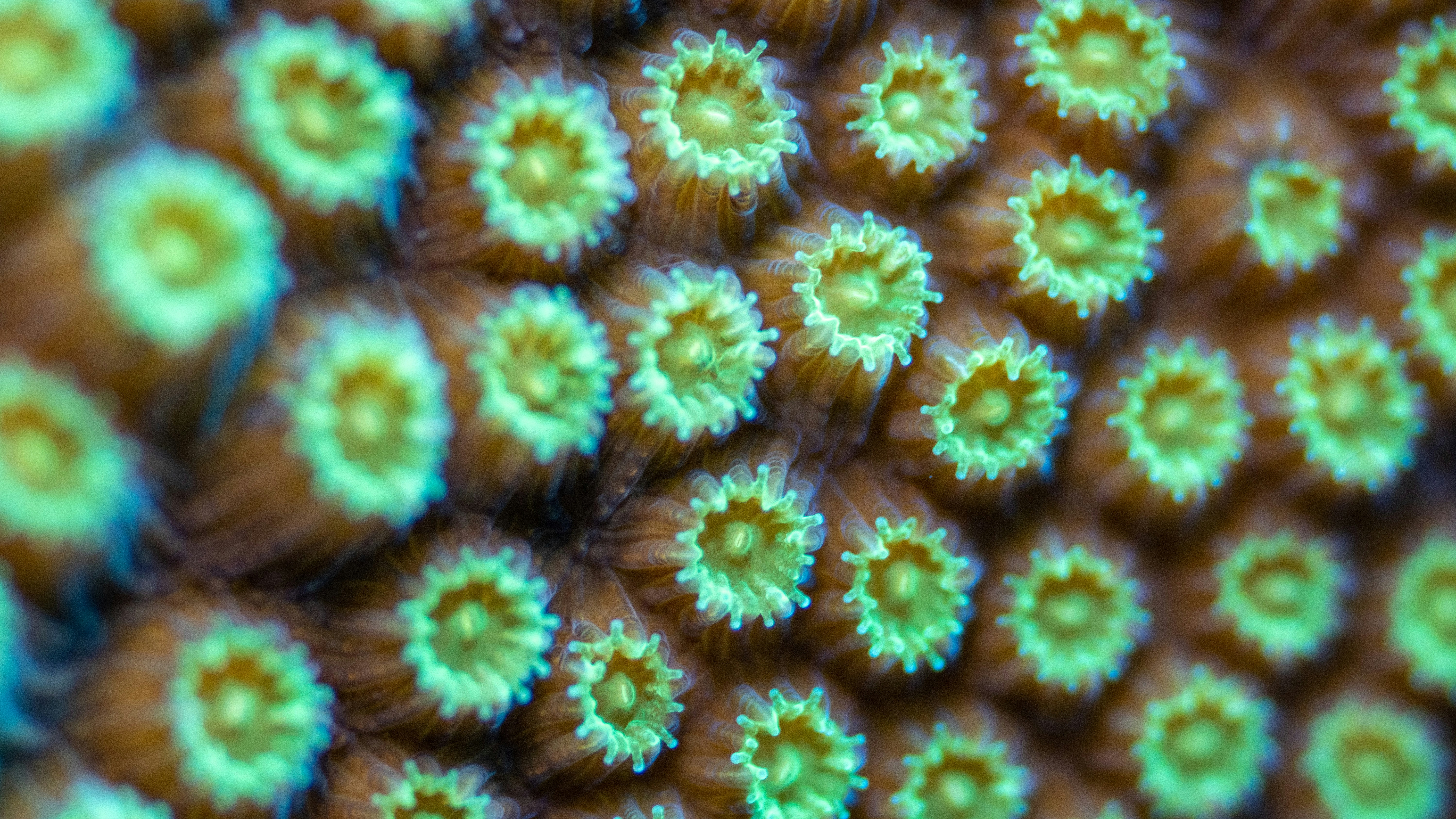 Photo by nothingtoseehere1492