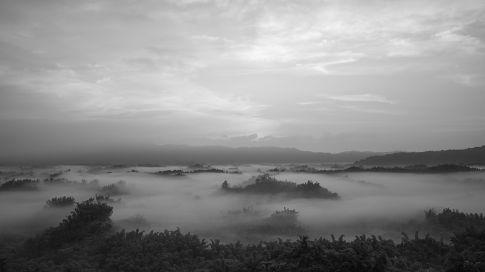 a black and white photo of a foggy landscape
