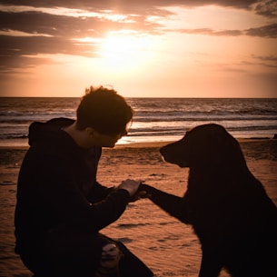 a man kneeling down next to a dog on a beach