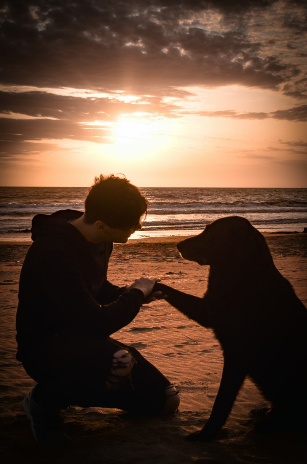 a man kneeling down next to a dog on a beach