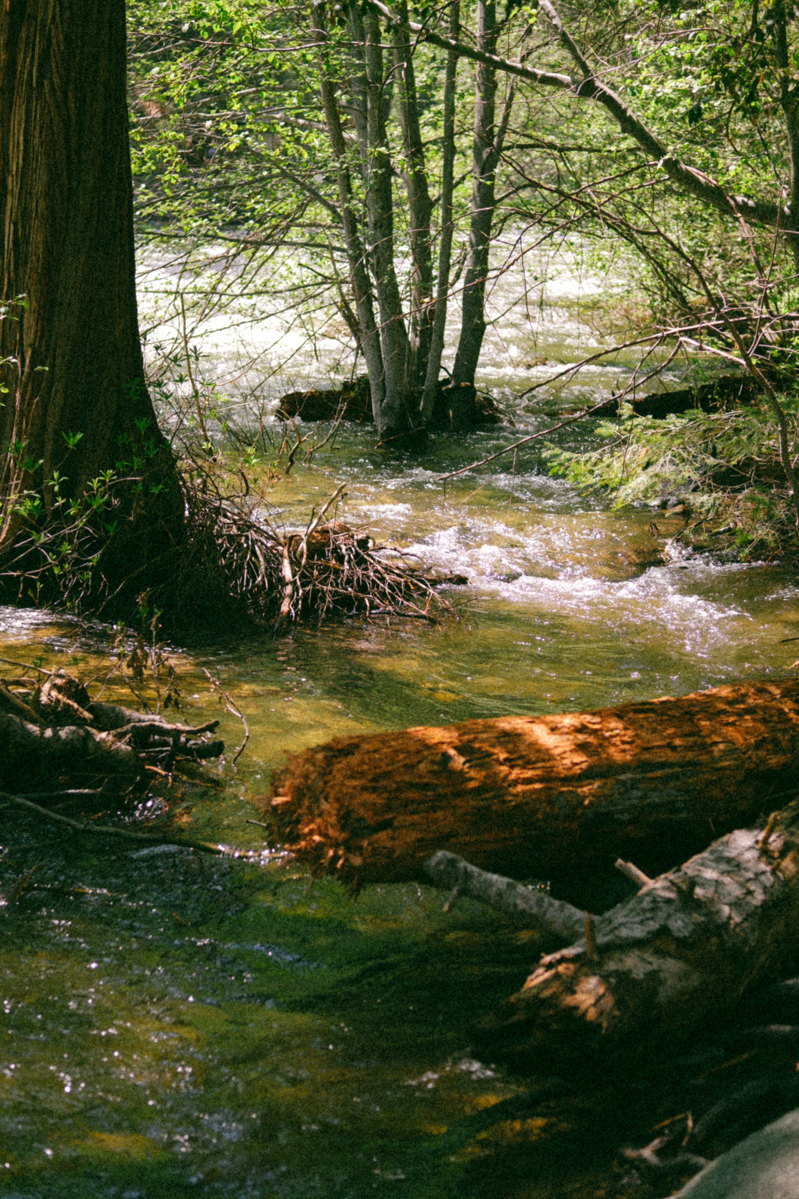 Photo by marsupialpudding