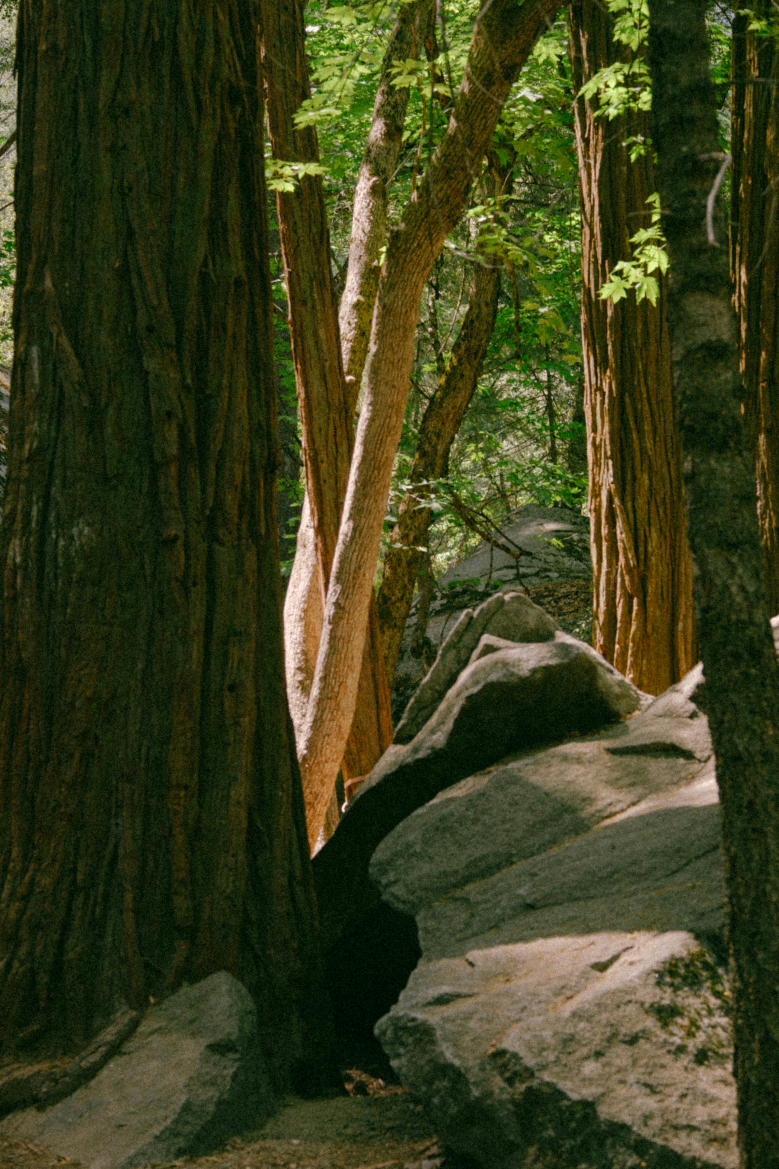 Photo by marsupialpudding