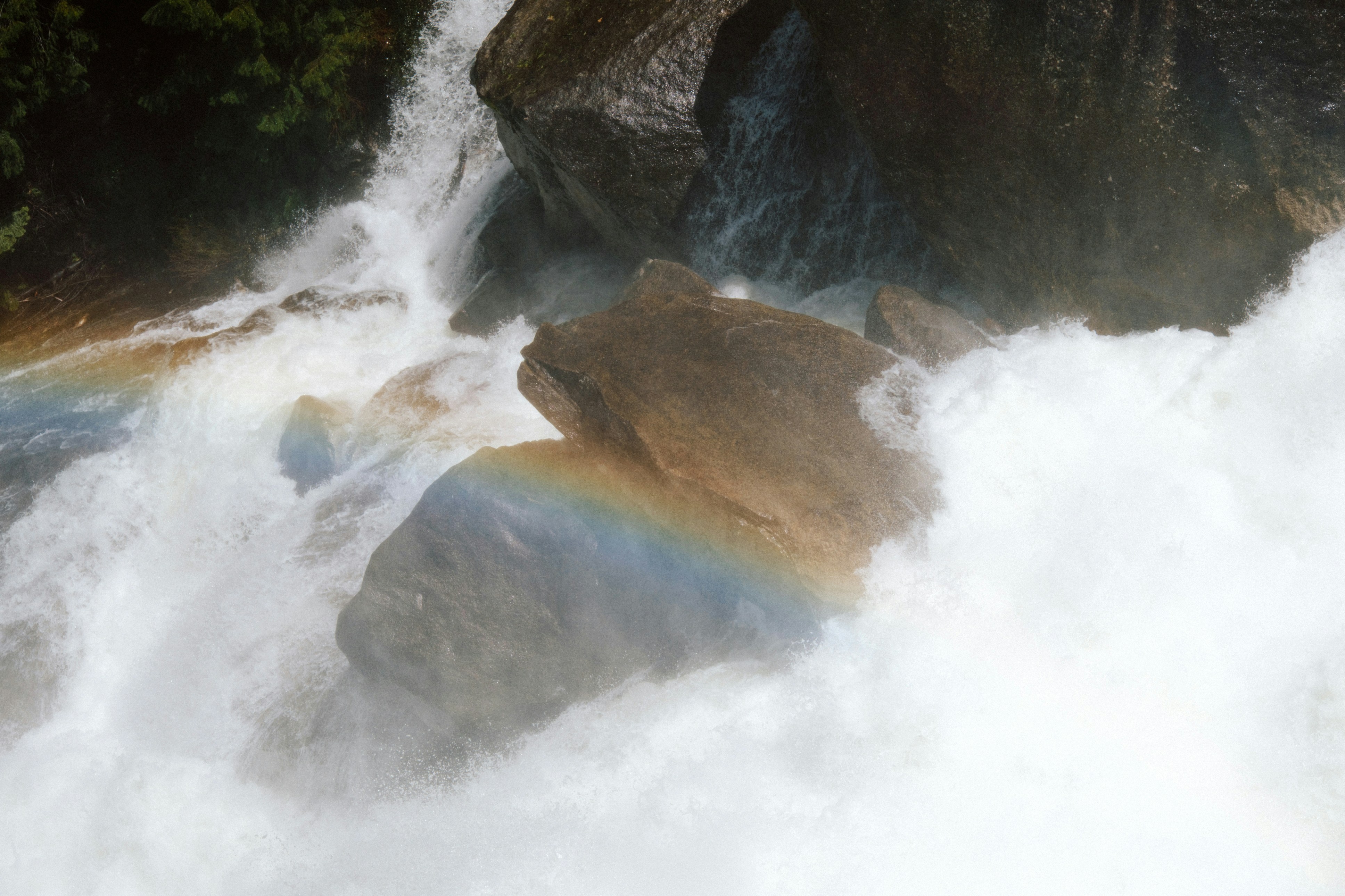 Photo by marsupialpudding