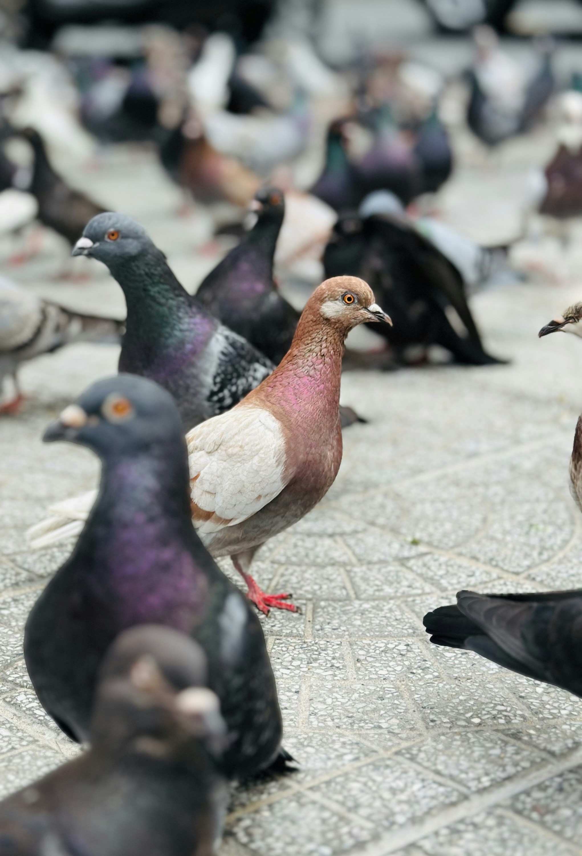 COVID-19 Vaccines May Protect Against Neurological Issues