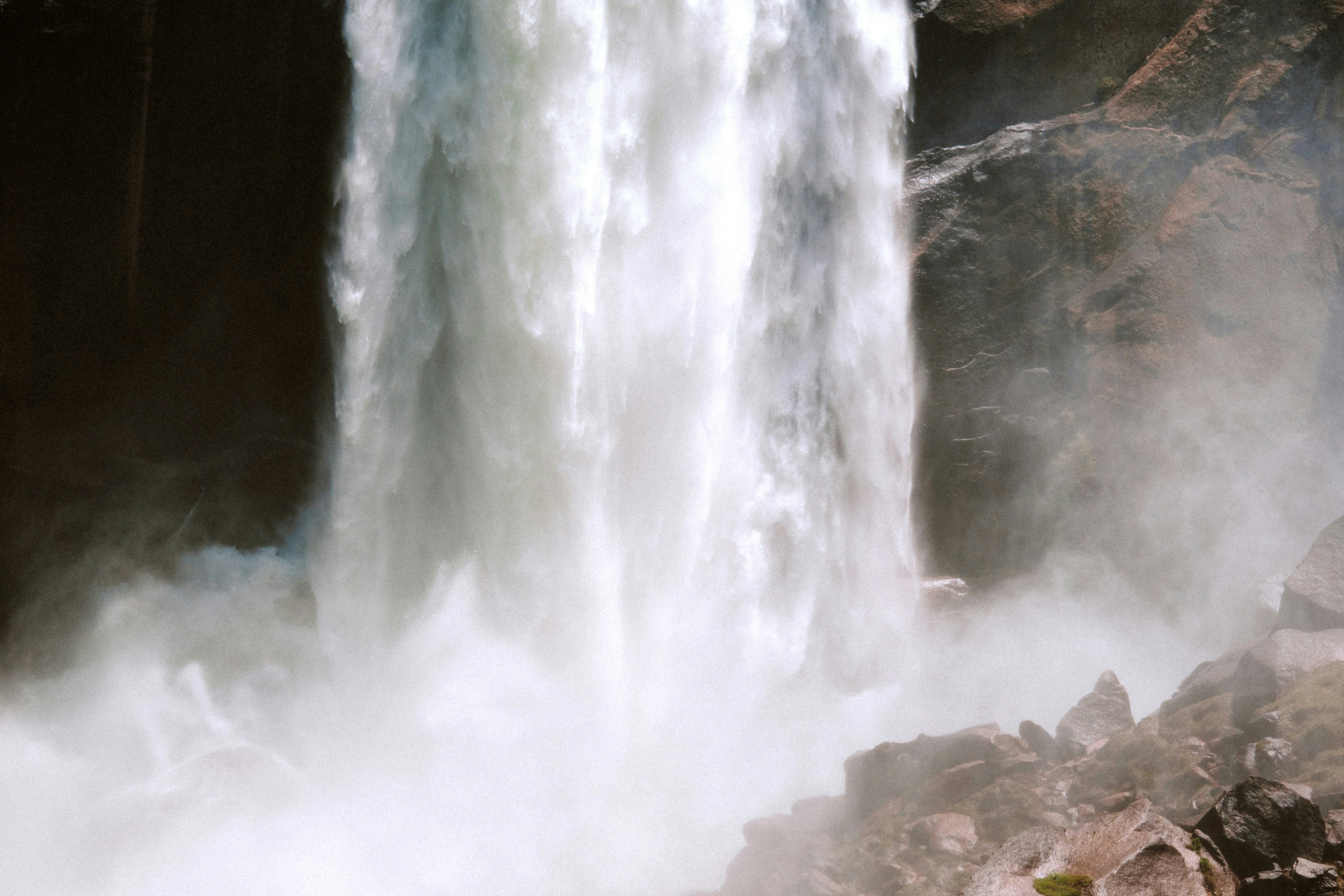 Photo by marsupialpudding