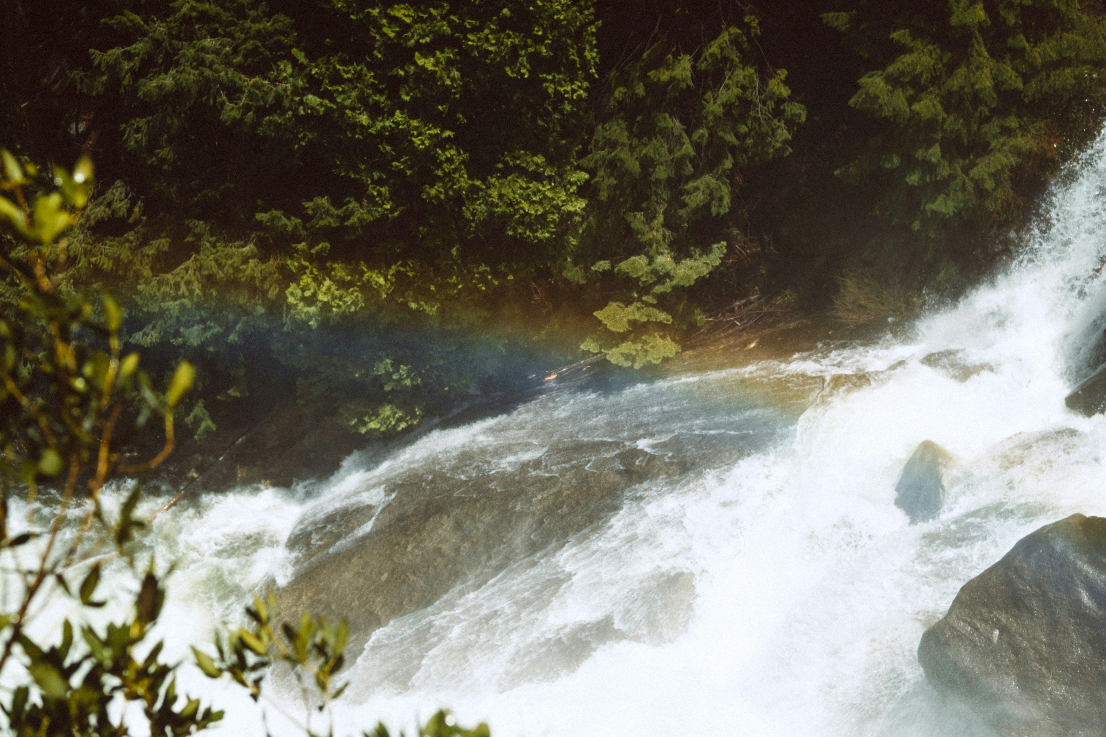 Photo by marsupialpudding