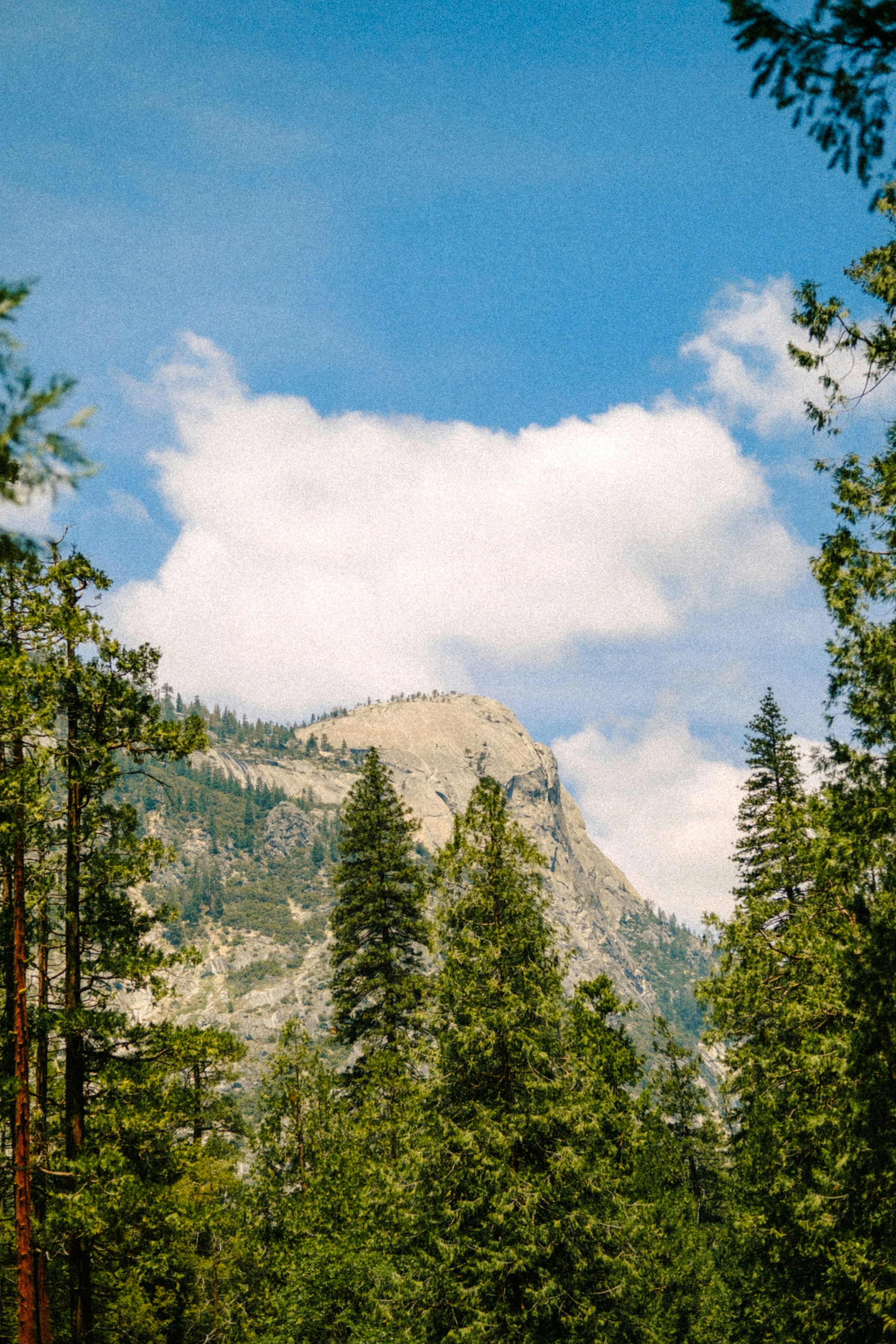 Photo by marsupialpudding