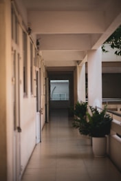 a long hallway leading to a balcony with potted plants