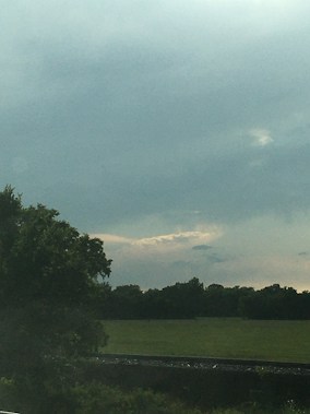 A peaceful landscape with a large expanse of grassy fields bordered by dense trees. The sky is overcast with a light patch of clouds illuminated by a subdued sun, casting a soft light over the scene.