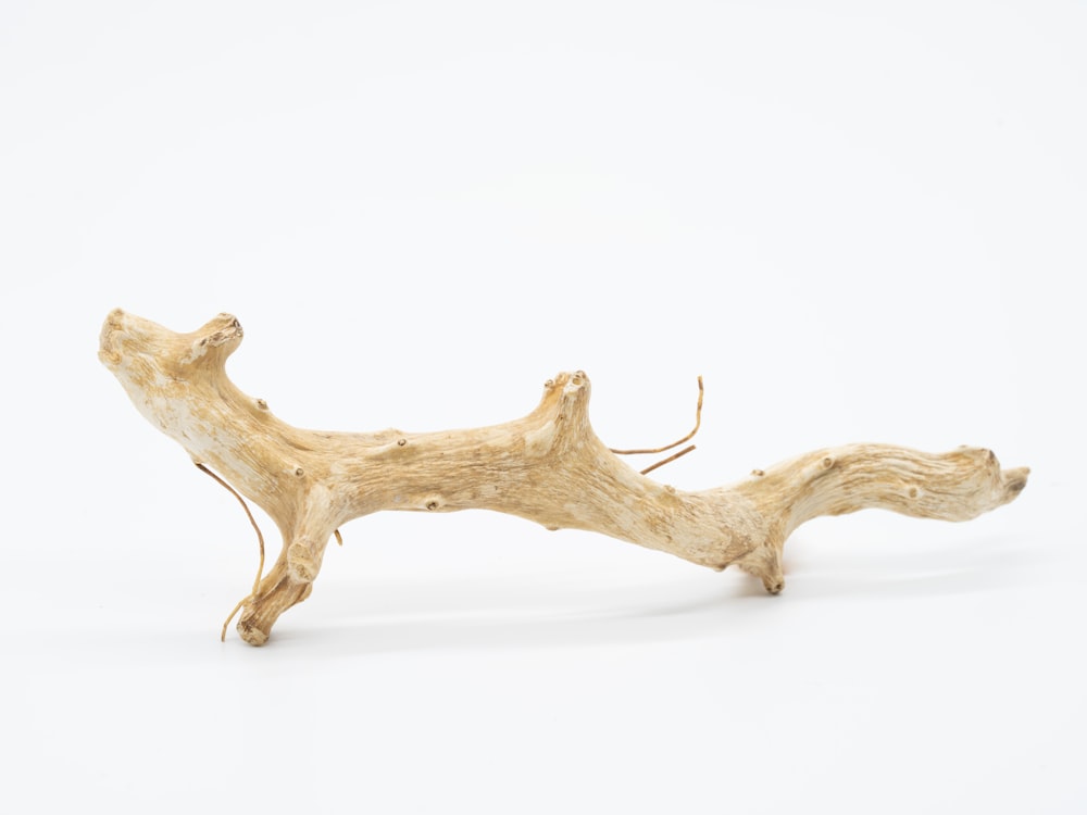 a piece of driftwood on a white background