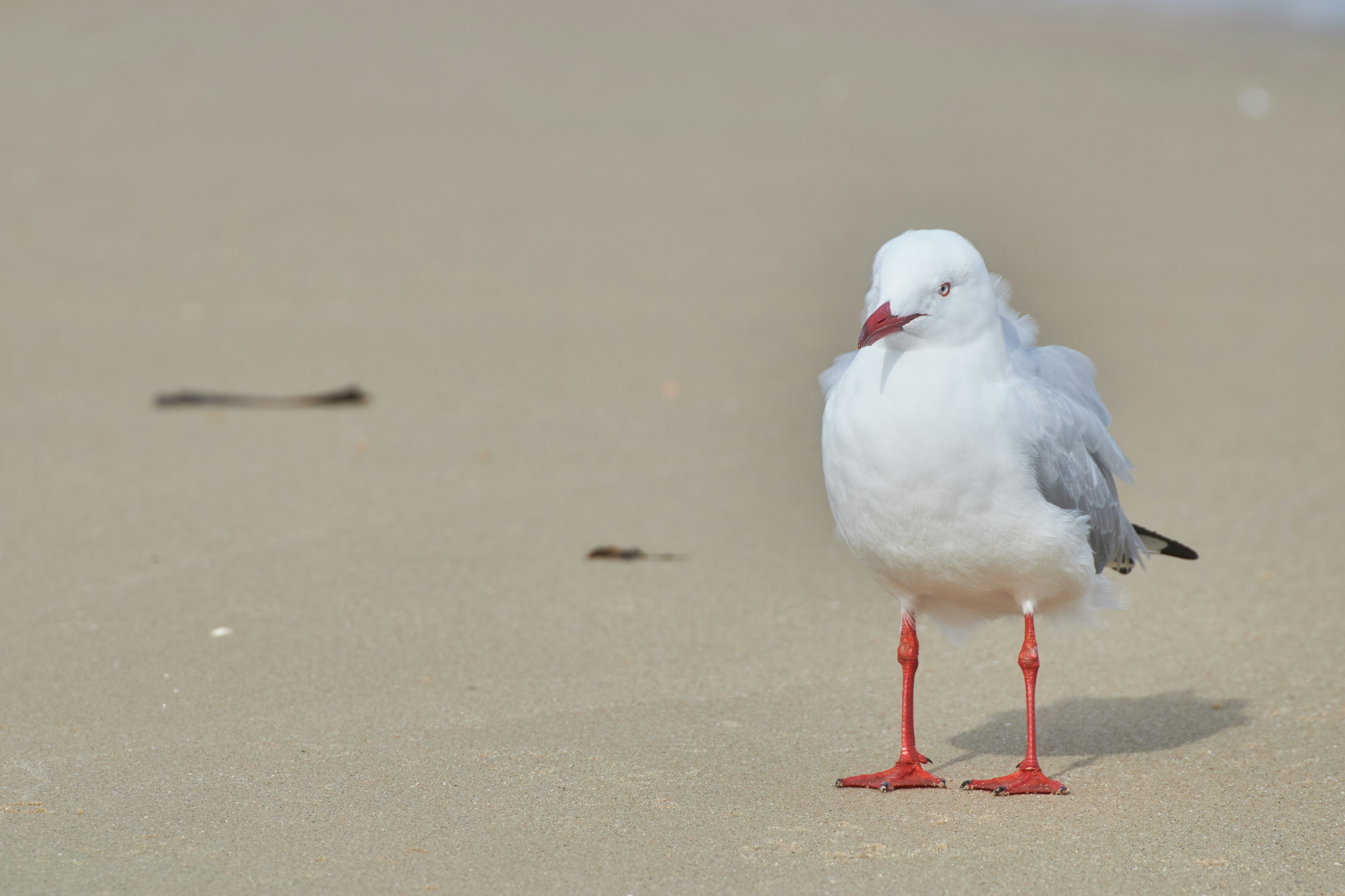 Photo by mirkofabian