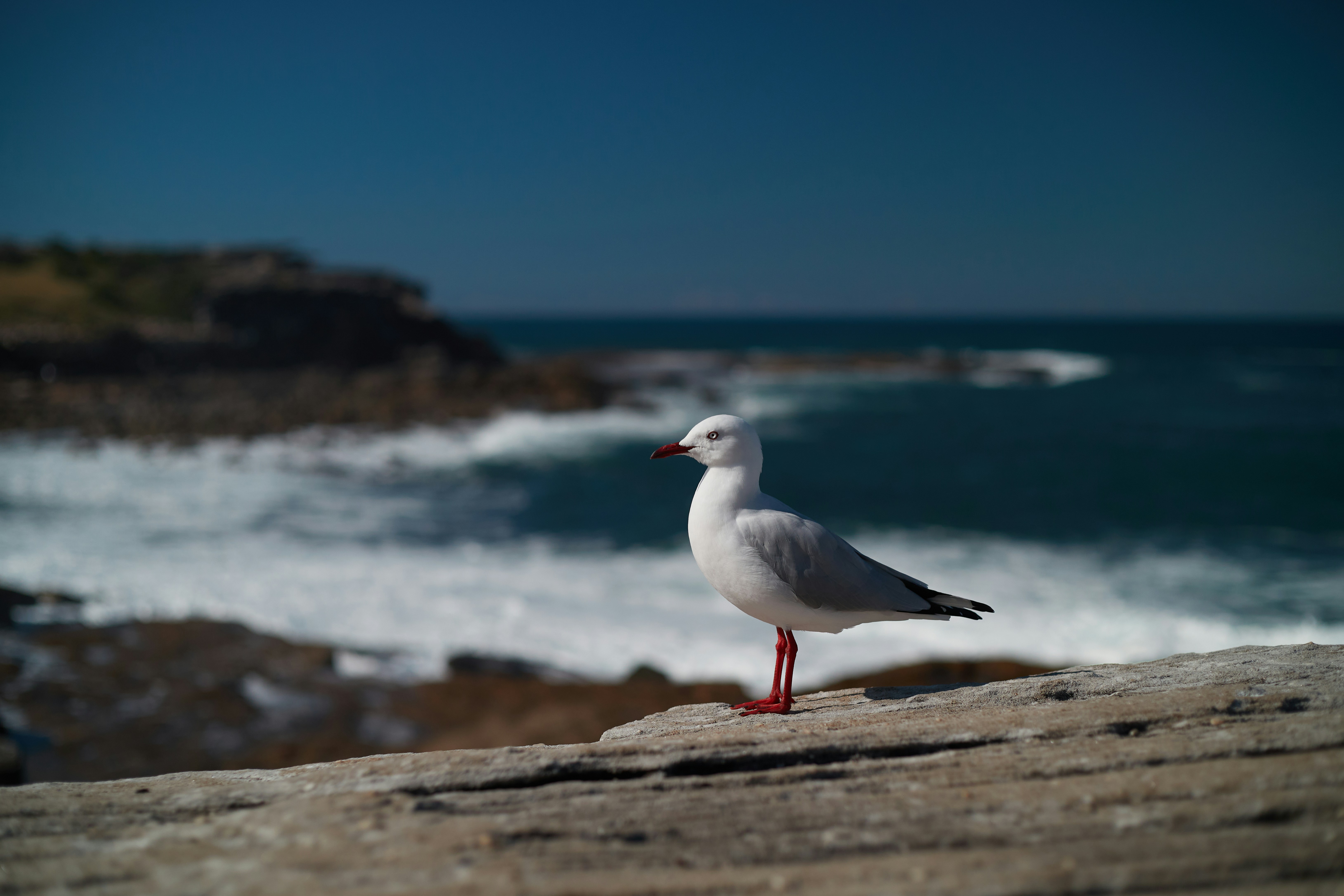 Photo by mirkofabian