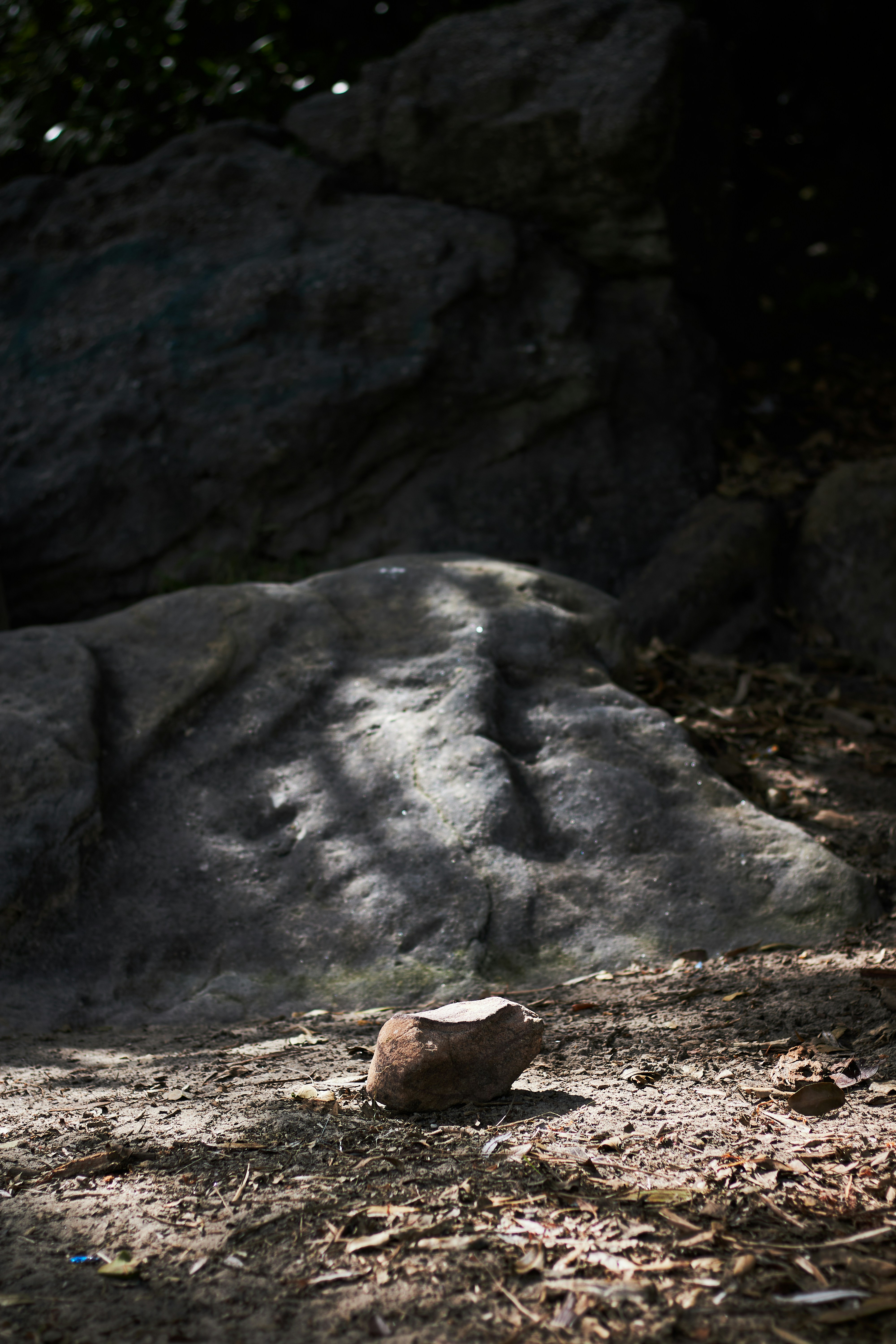 Photo by mirkofabian