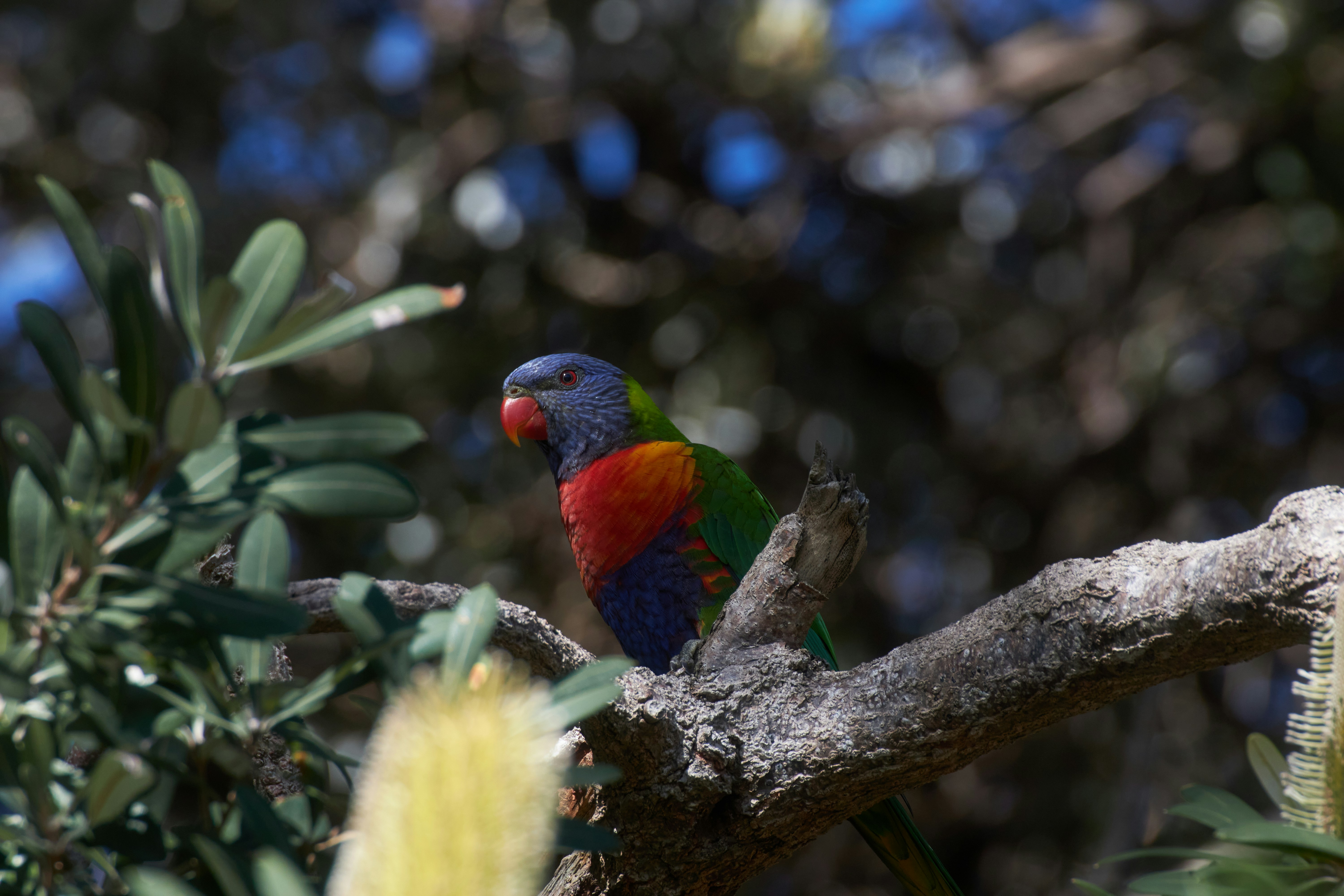 Photo by mirkofabian