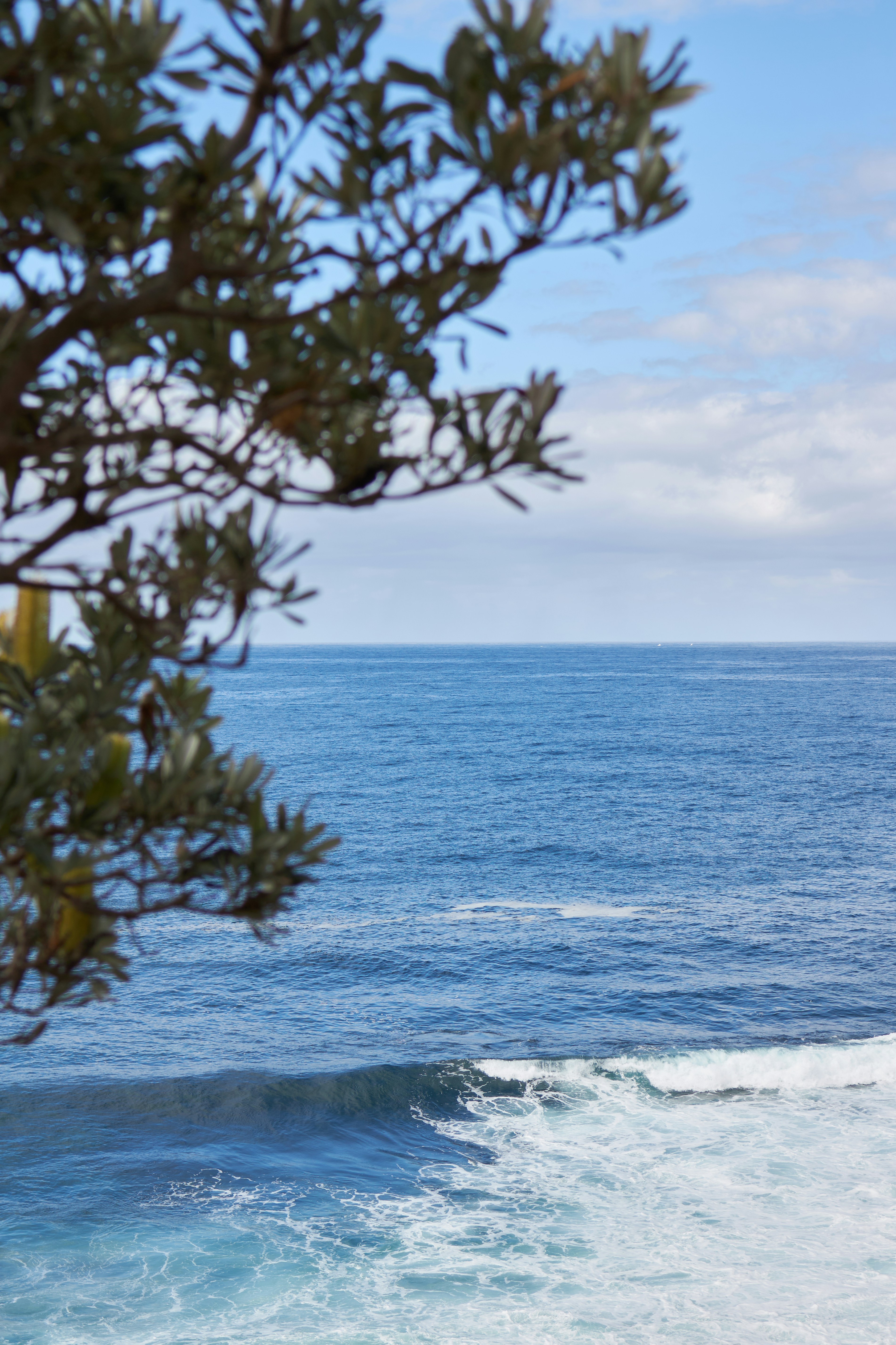 Photo by mirkofabian