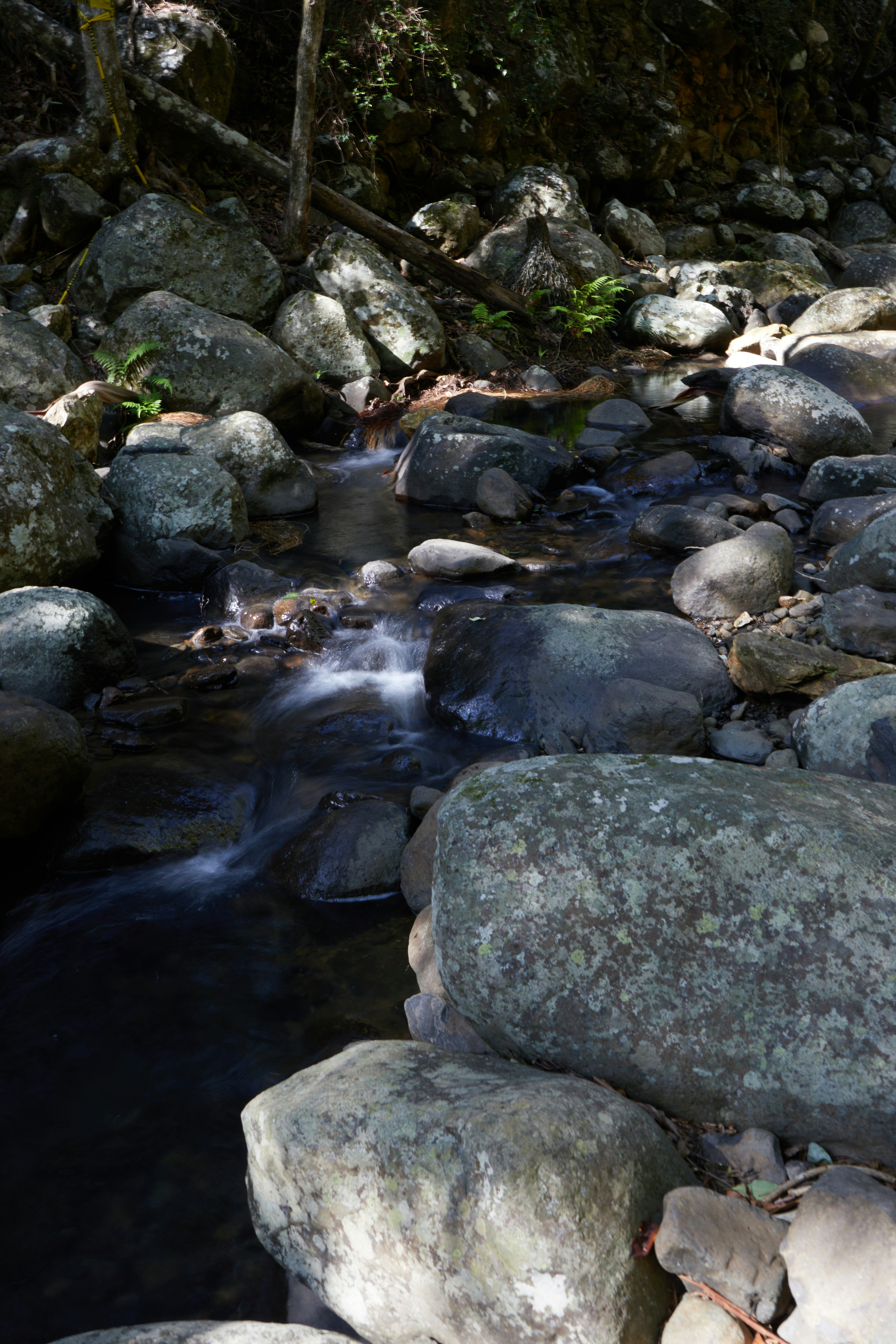 Photo by mirkofabian