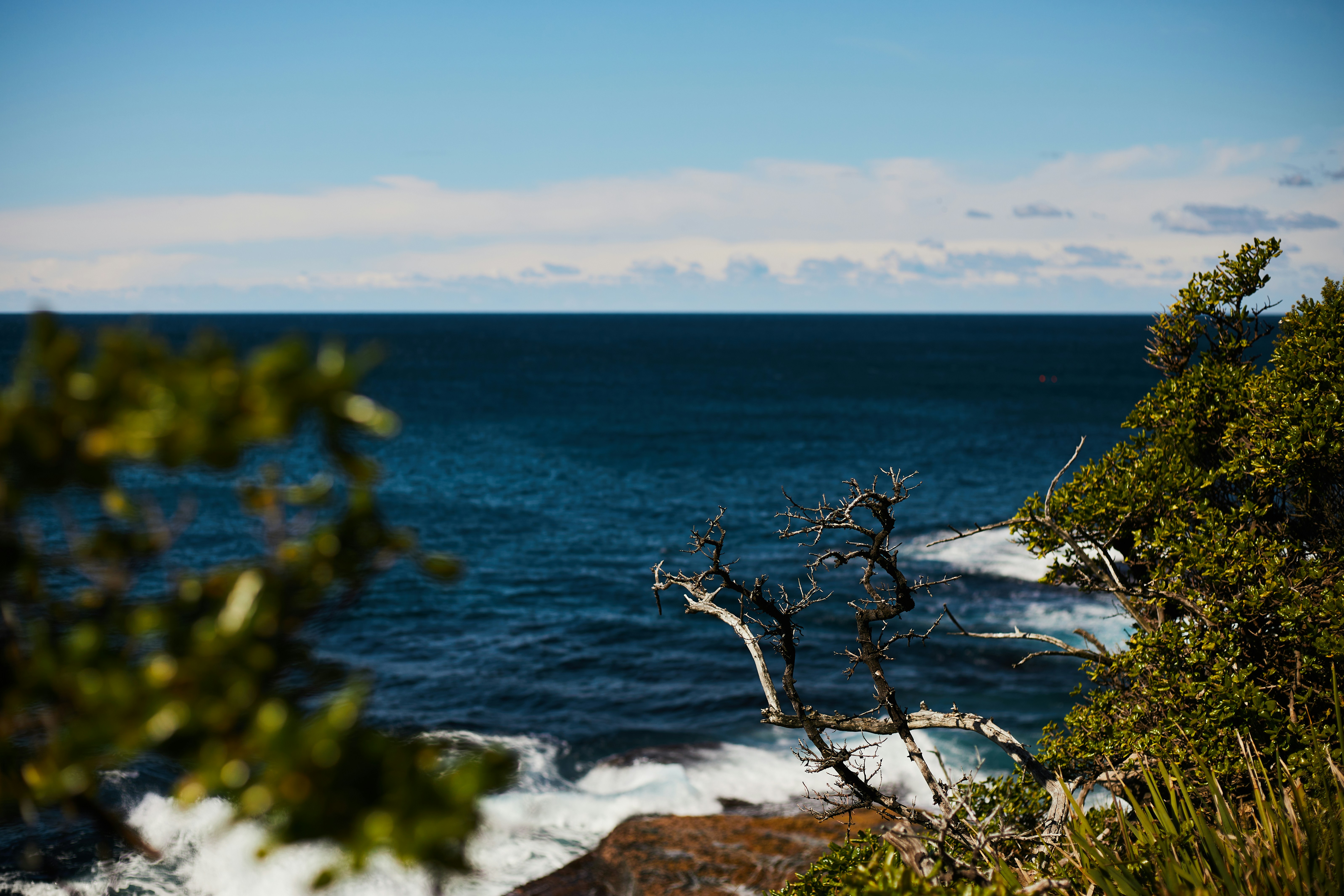 Photo by mirkofabian