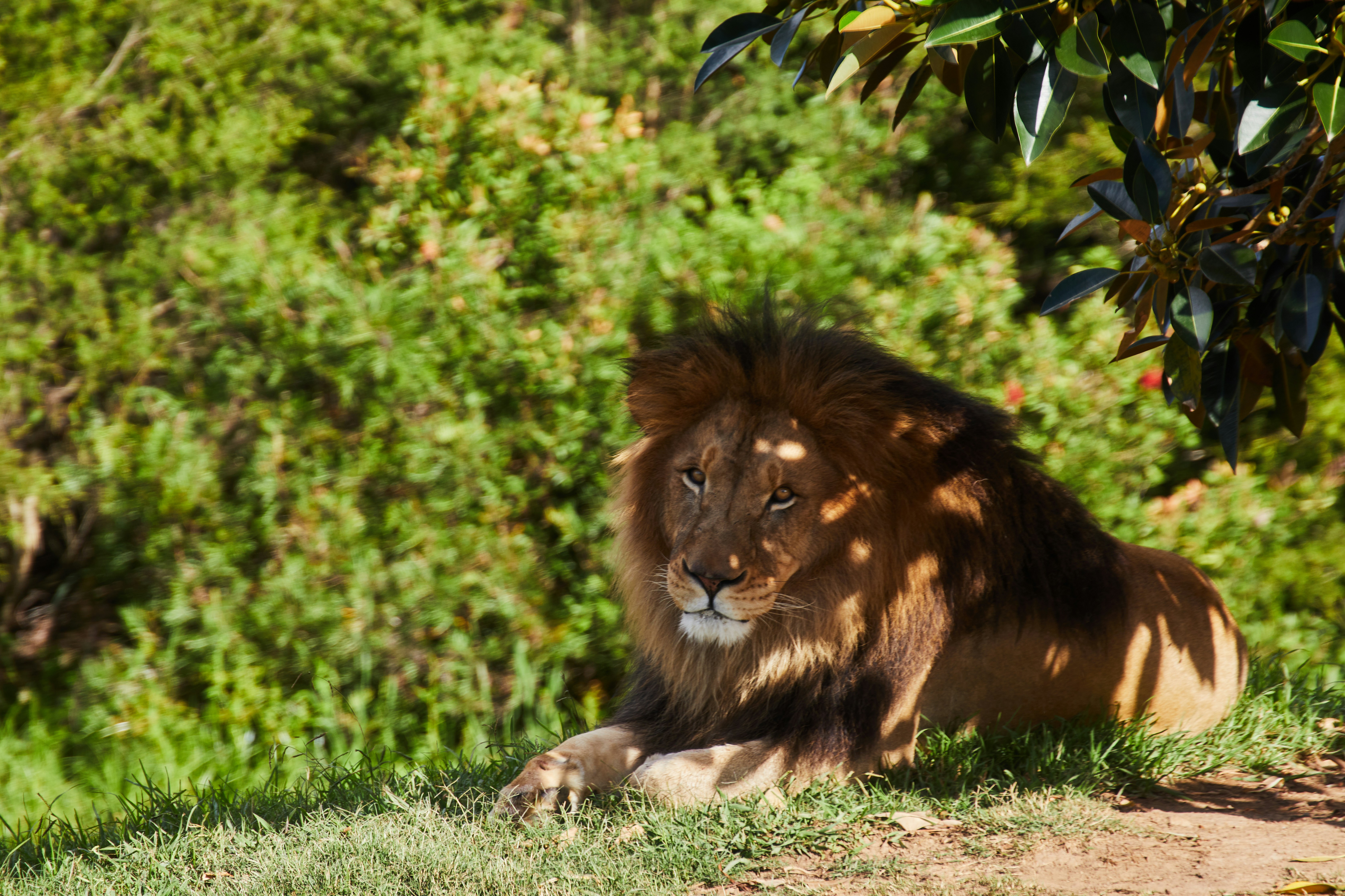 Photo by mirkofabian