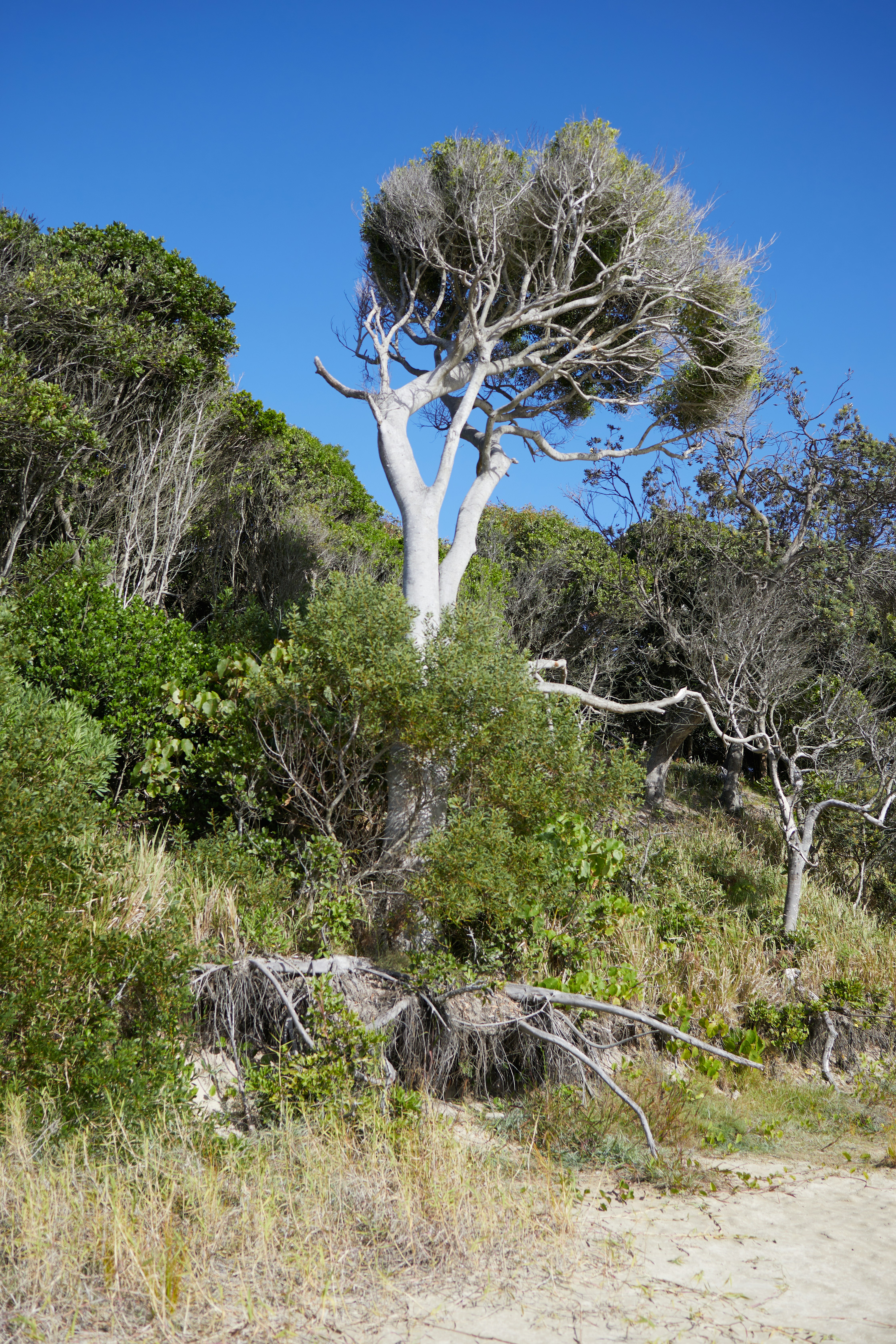 Photo by mirkofabian