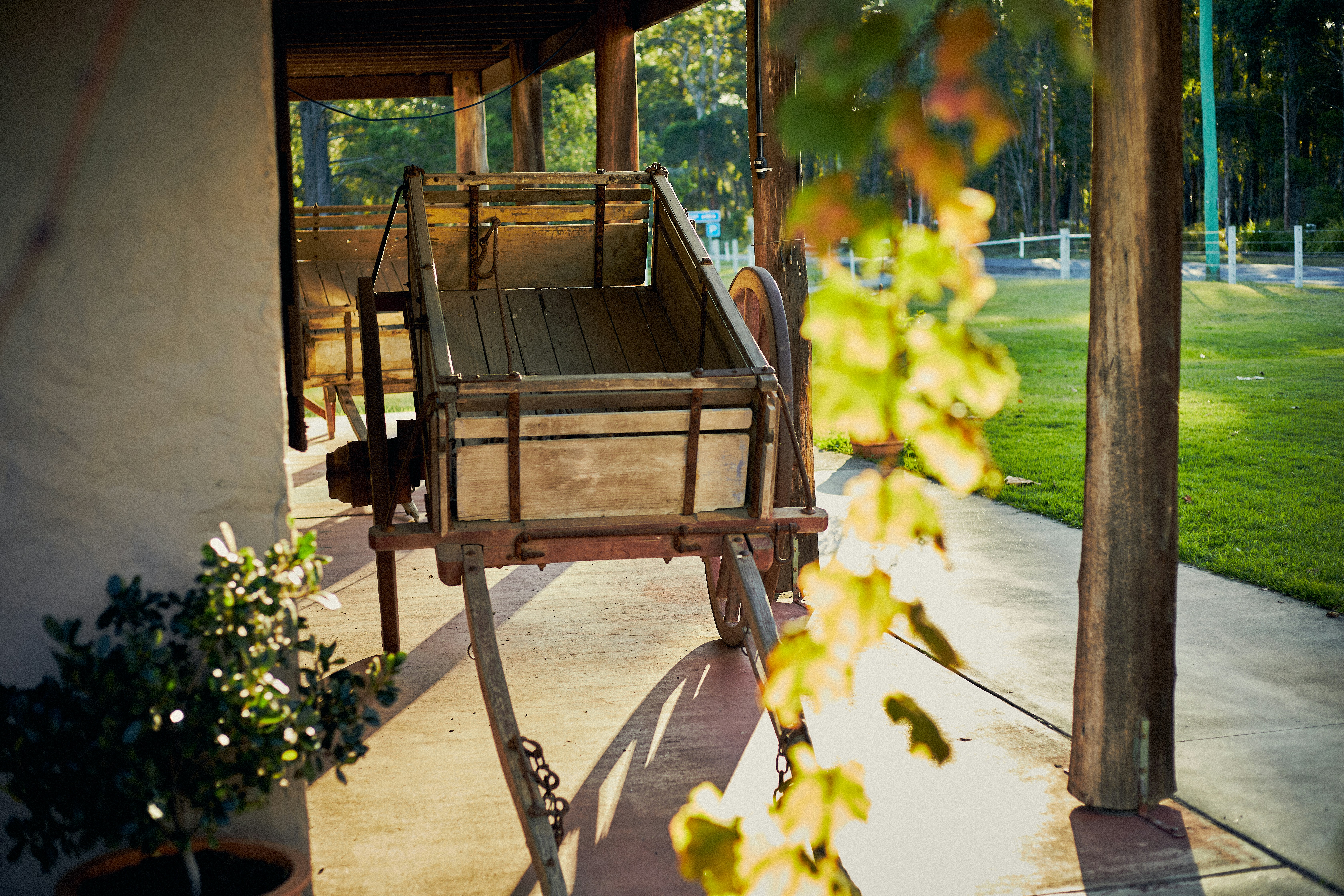 Photo by mirkofabian