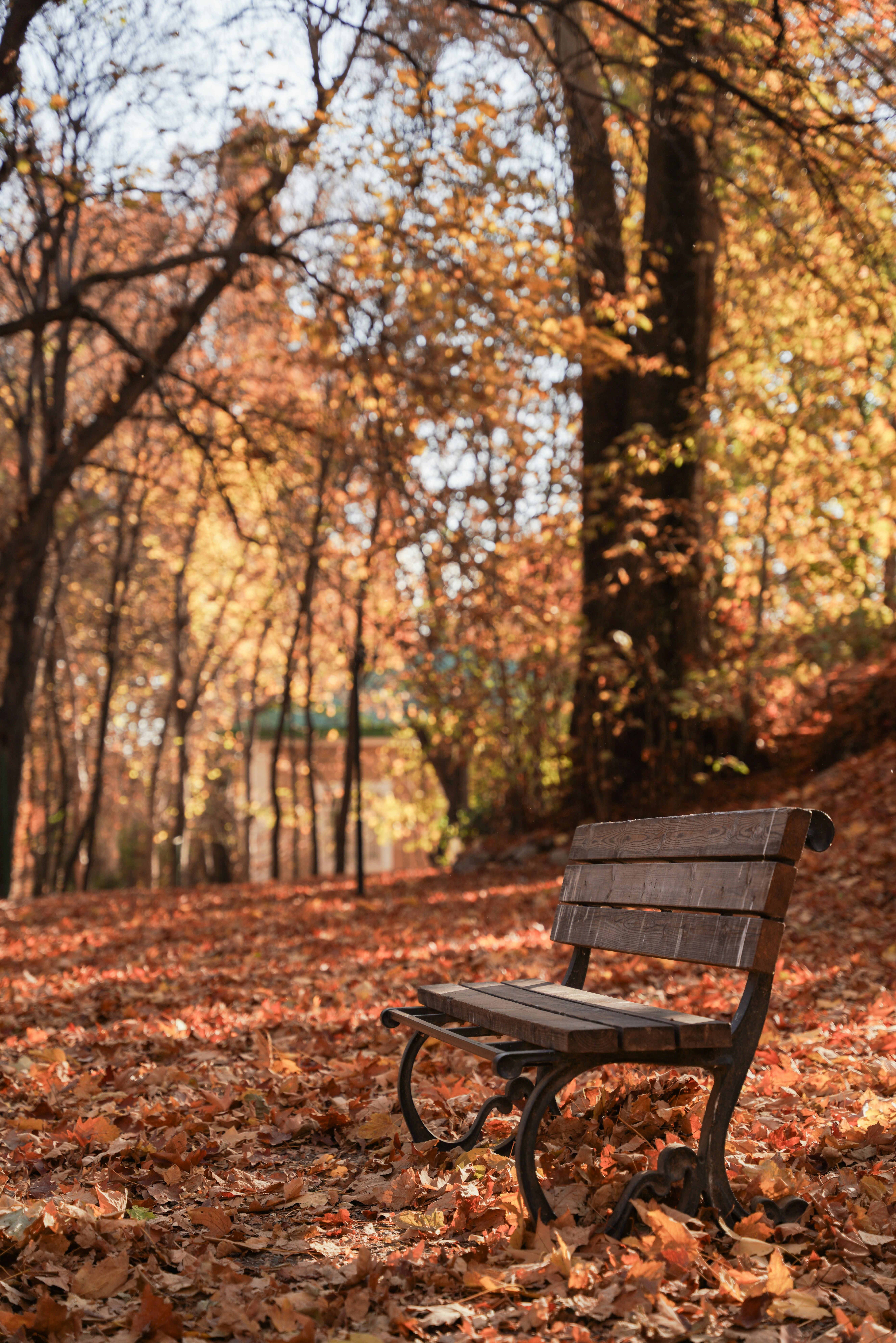 Photo by mahyar_mirghasmi