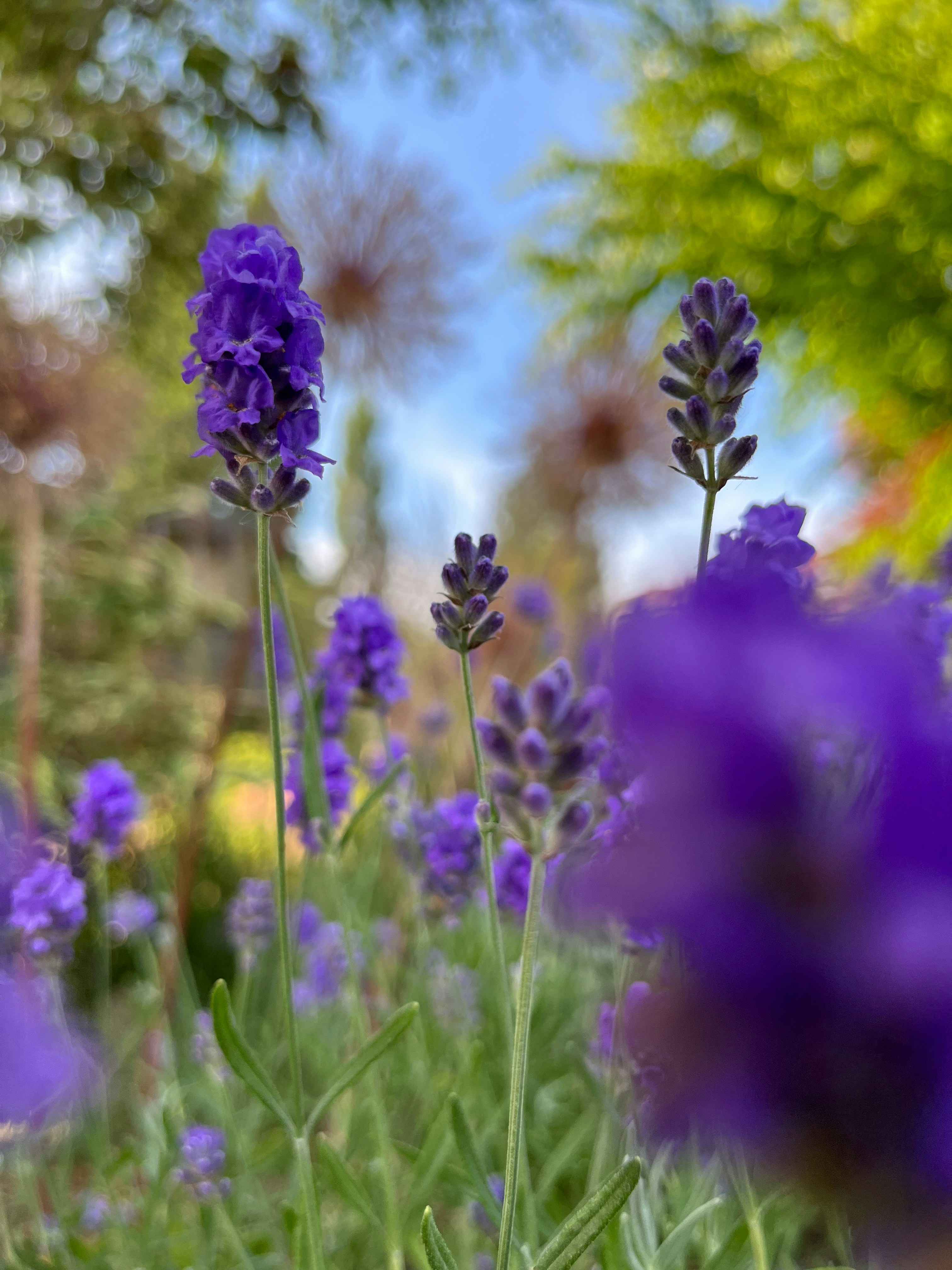 Photo by svoevolina26