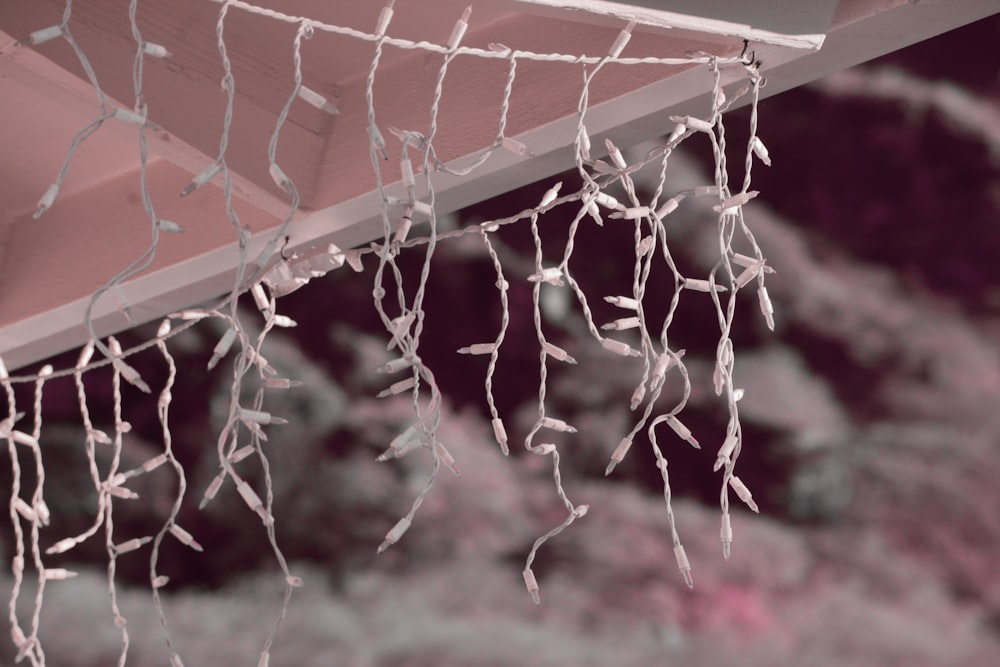 a close up of a string hanging from a roof