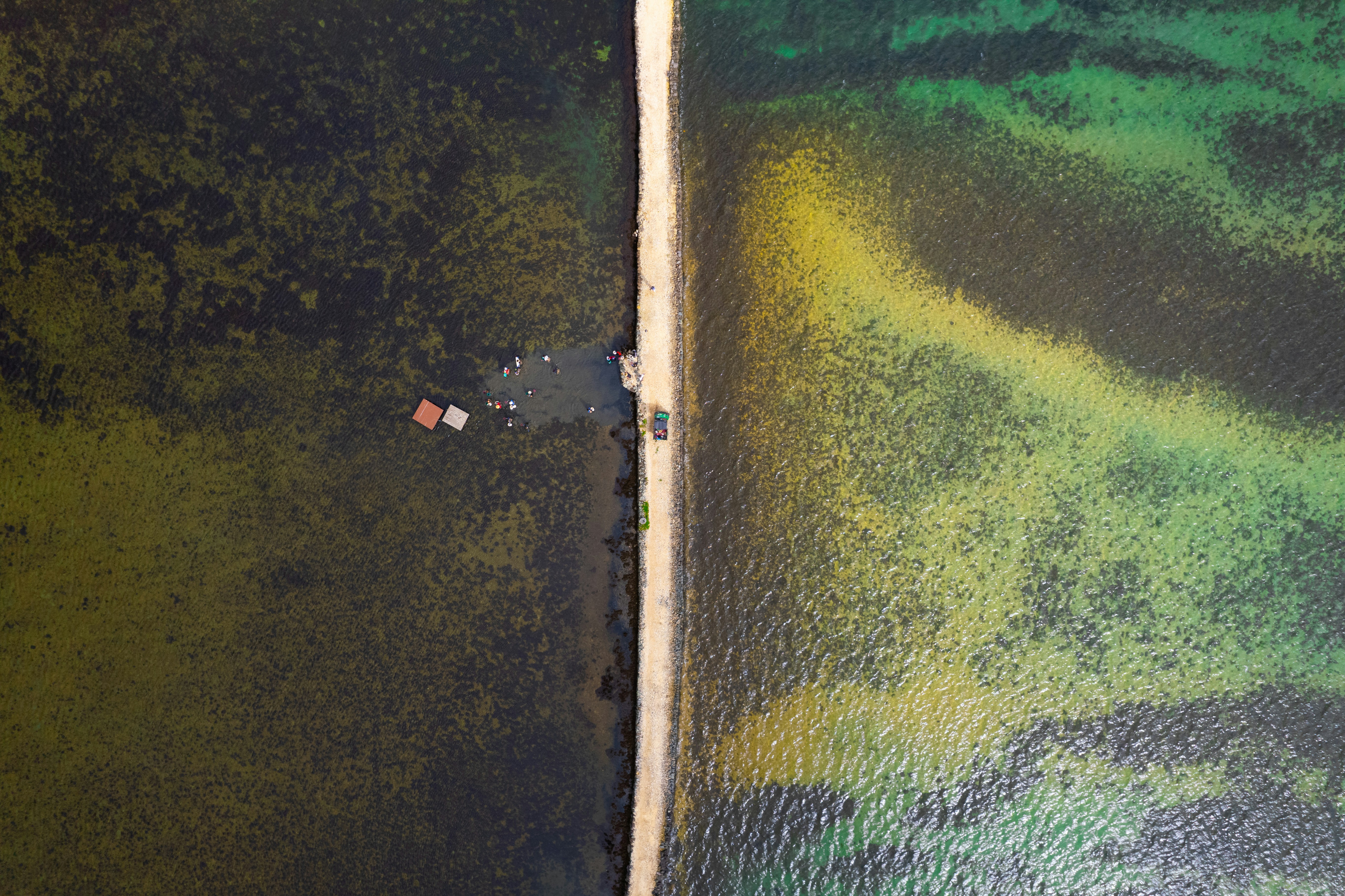 Photo by atoto_photo