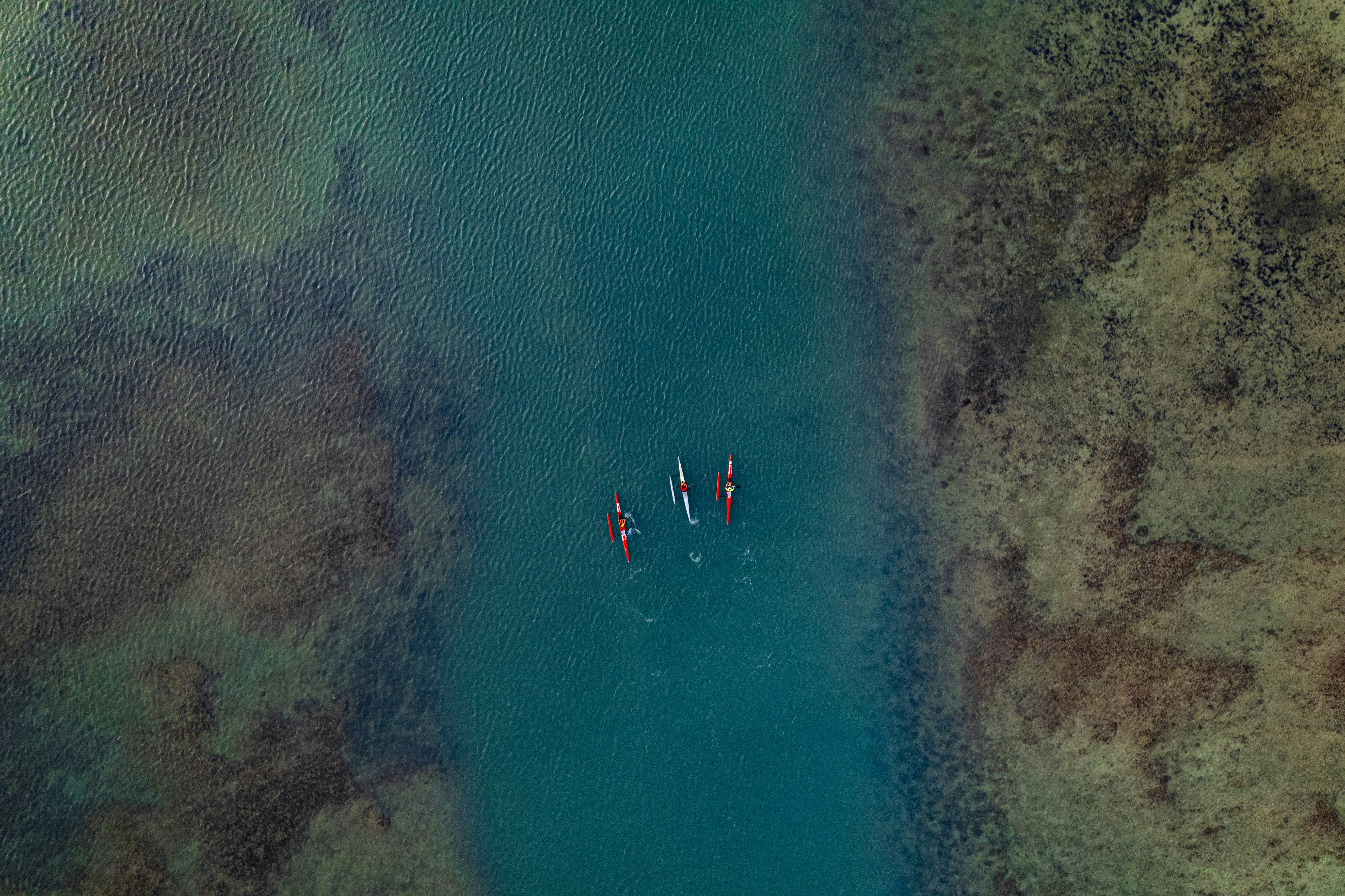 Photo by atoto_photo