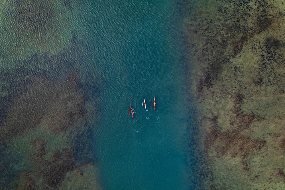 a group of boats floating on top of a body of water