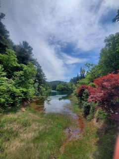 A serene landscape with a tranquil river and trees.