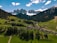 A scenic view of Badekot village showcasing its lush greenery.