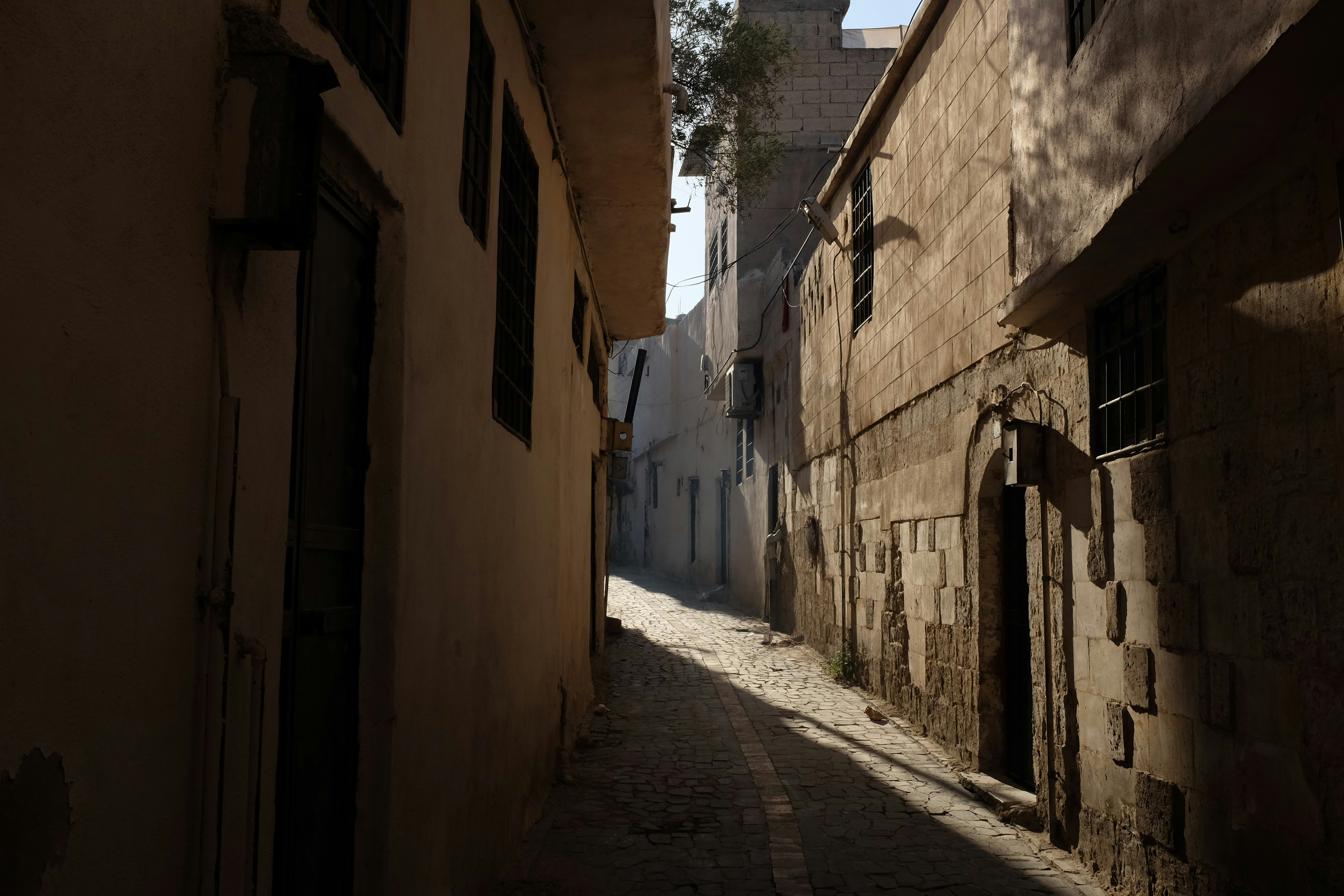 Photo by ignatkushanrev