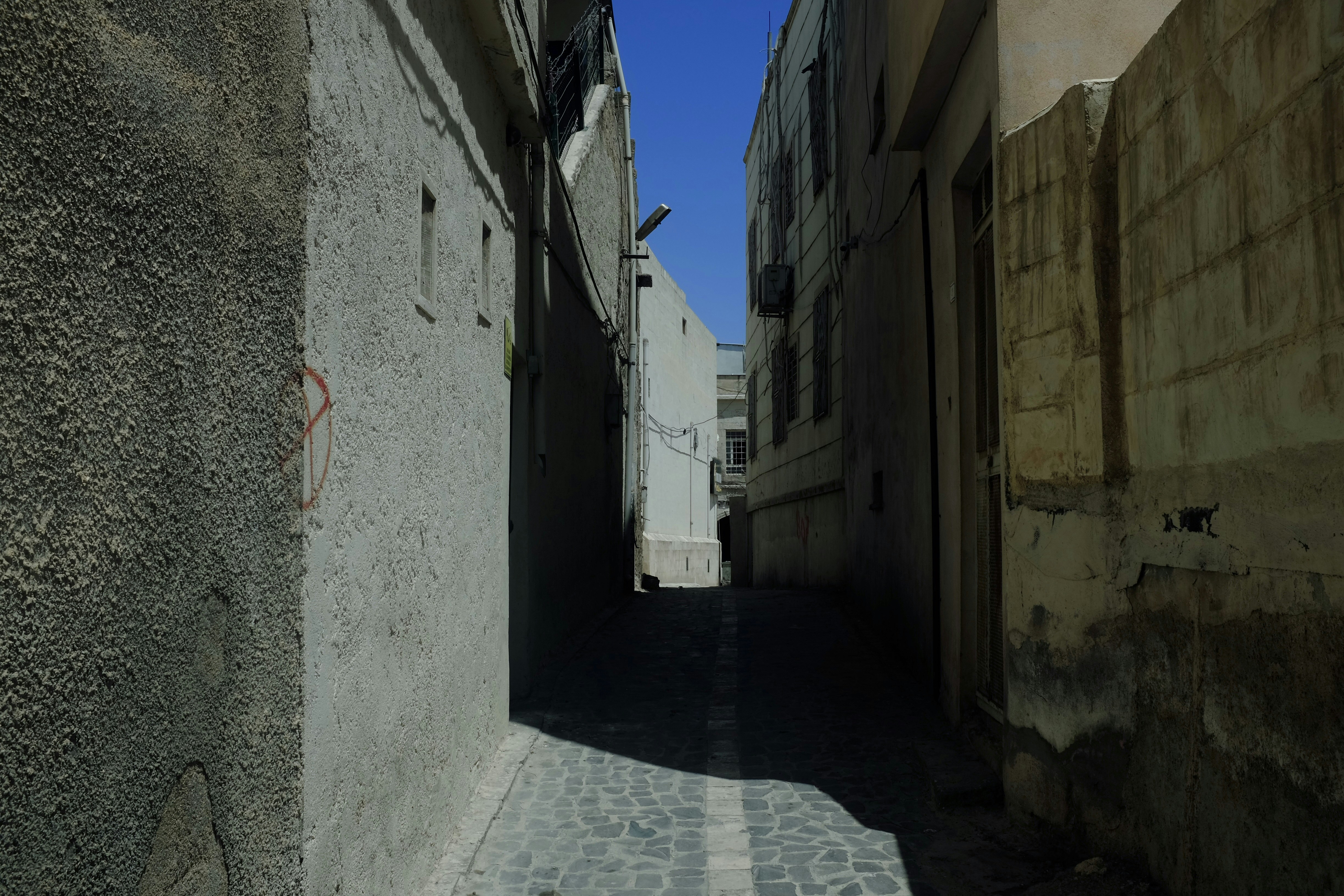 Photo by ignatkushanrev