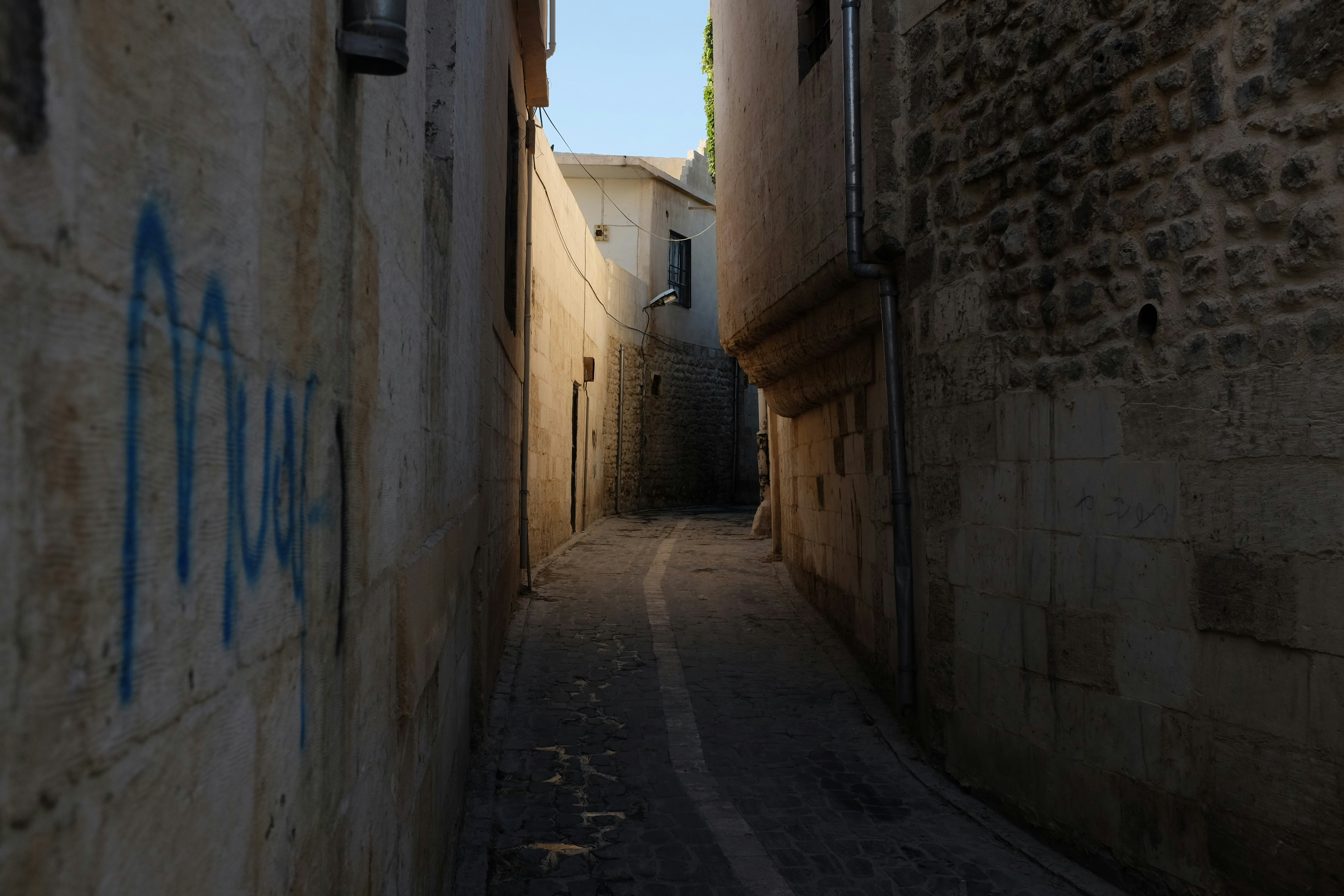 Photo by ignatkushanrev