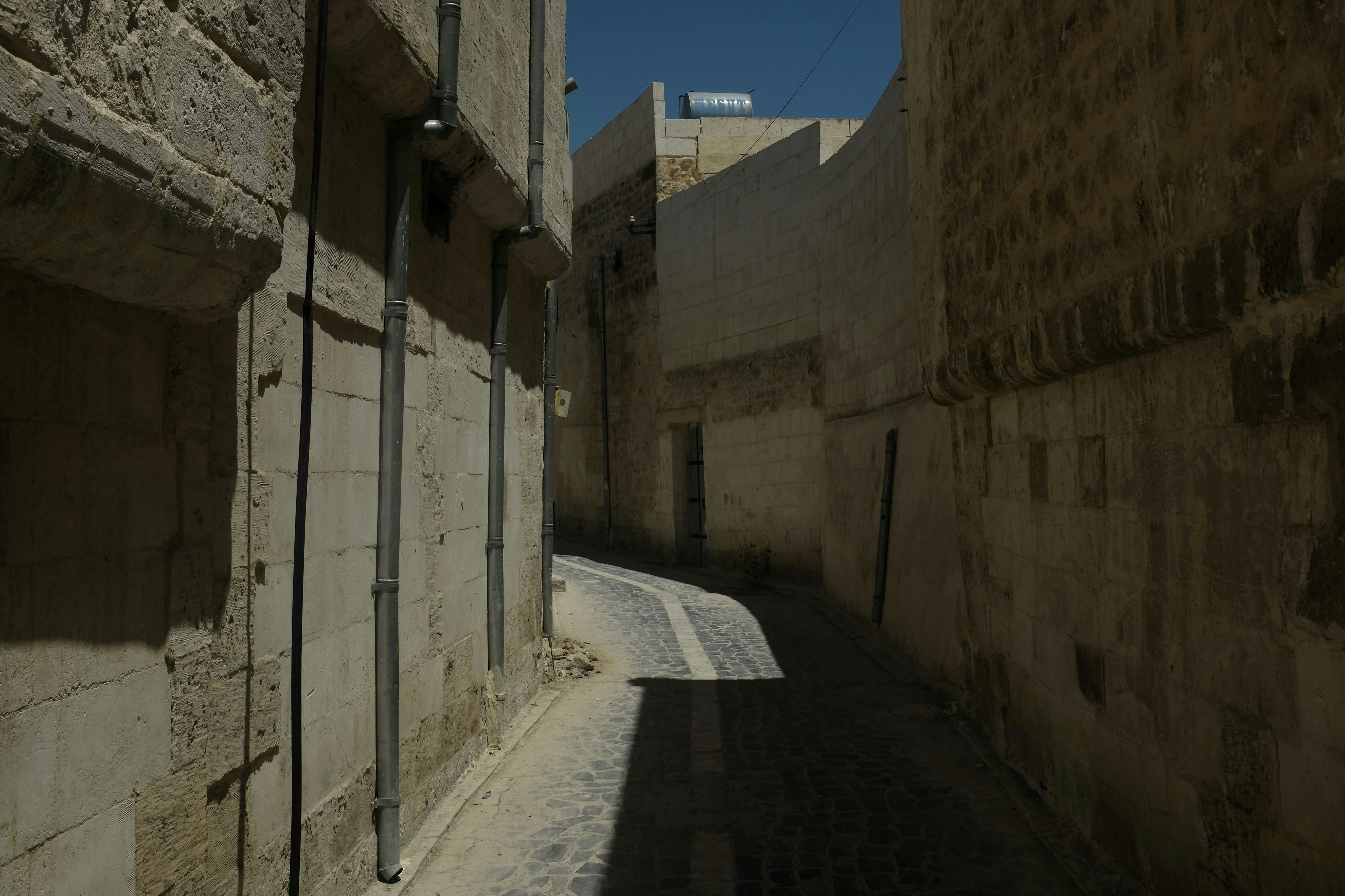 Photo by ignatkushanrev