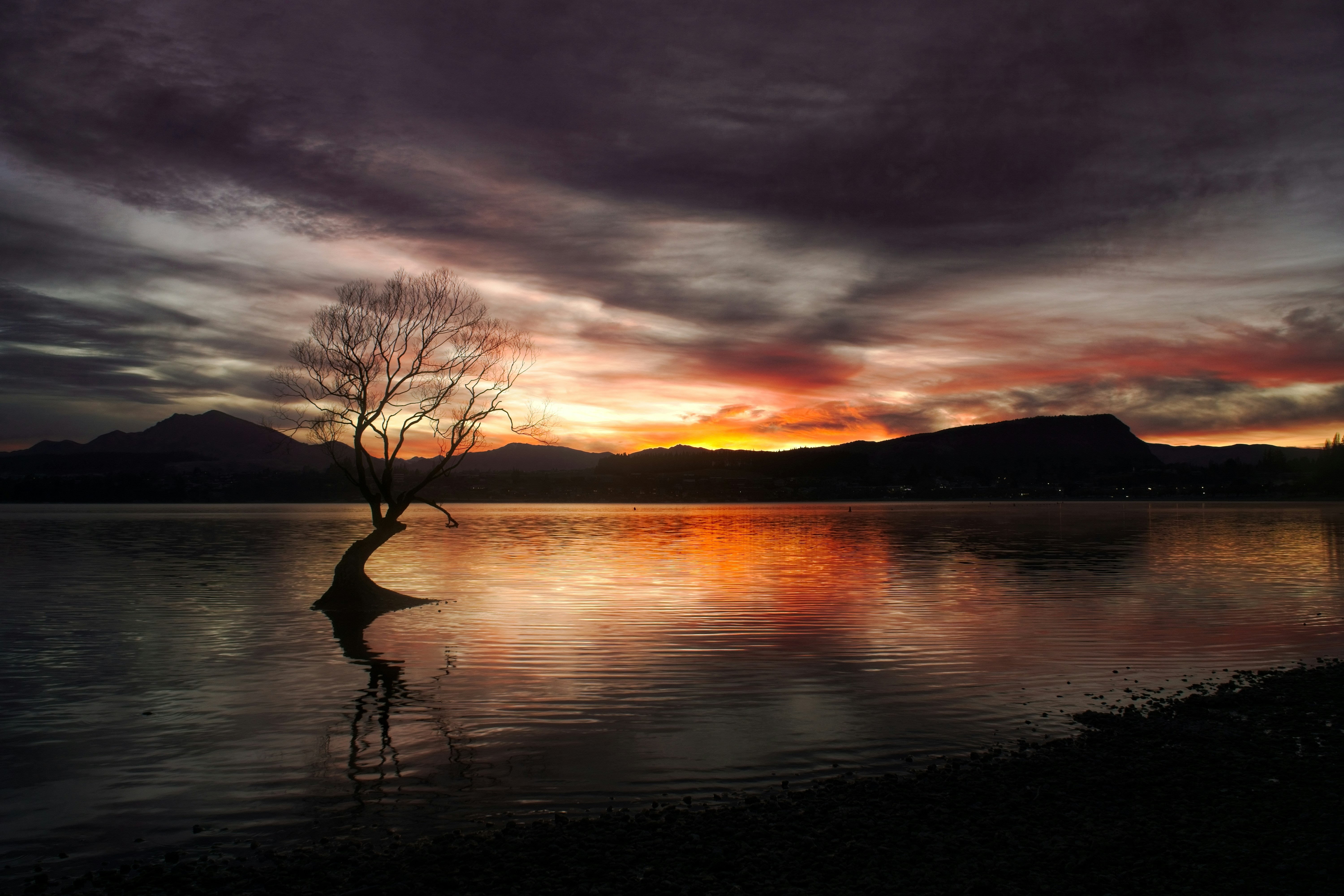 Wanaka lone willow tree reflected in Lake Wanaka at sunrise — New Zealand photography tour from India