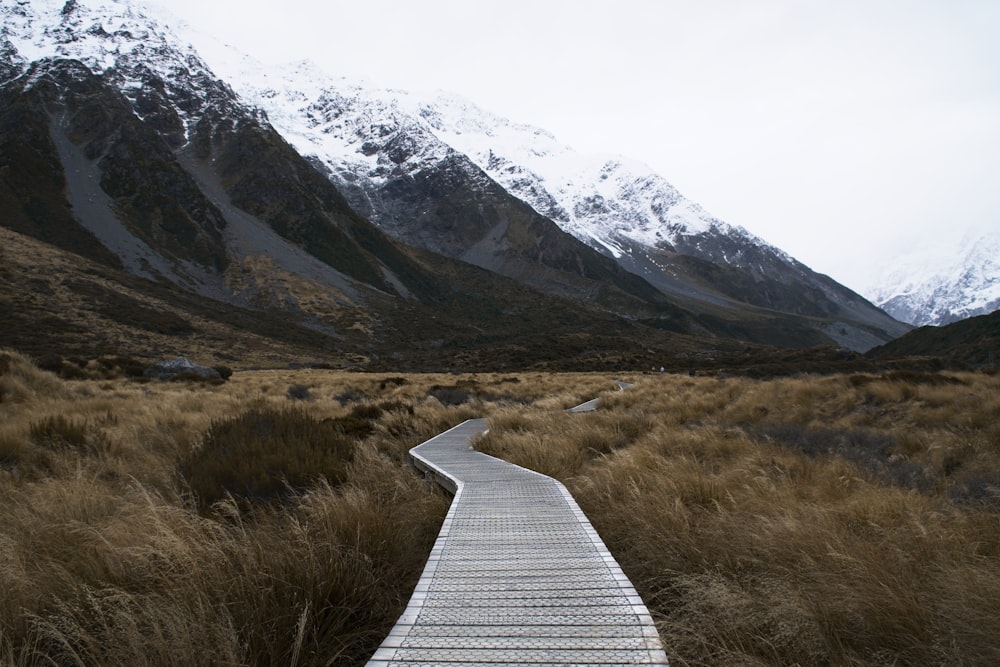 a wooden walkway in the middle of a field