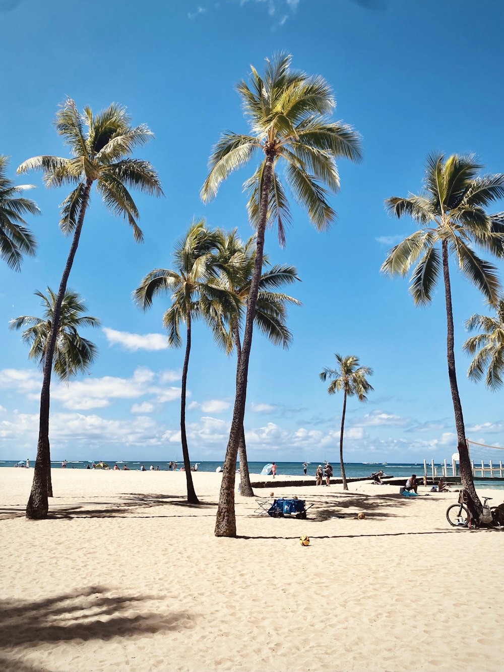 a sandy beach with palm trees and a blue sky